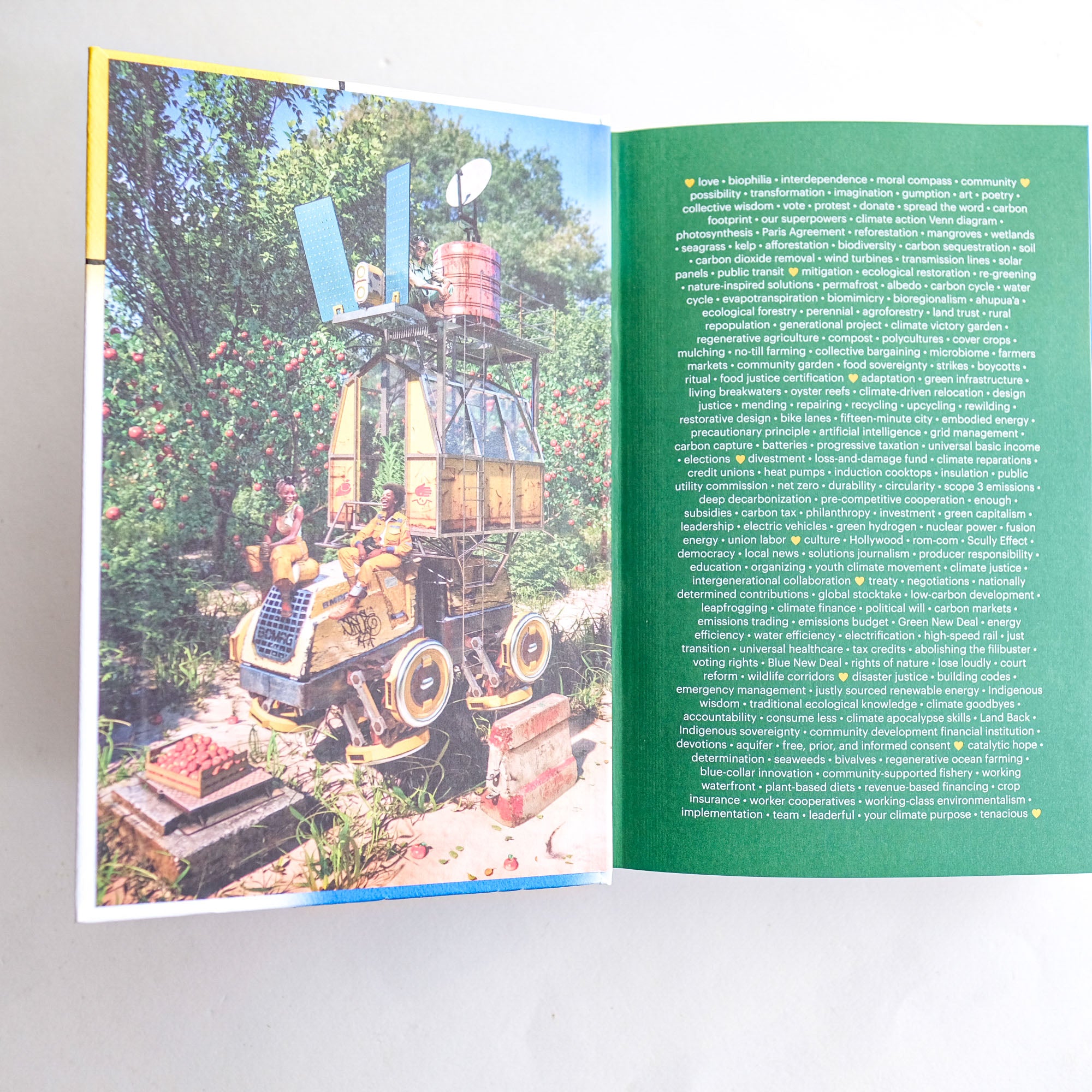 What If We Get It Right? Visions of Climate Futures by Ayana Elizabeth Johnson