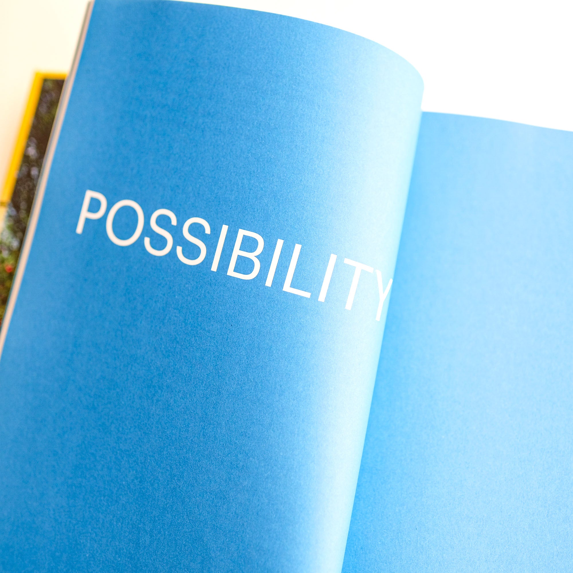 What If We Get It Right? Visions of Climate Futures by Ayana Elizabeth Johnson