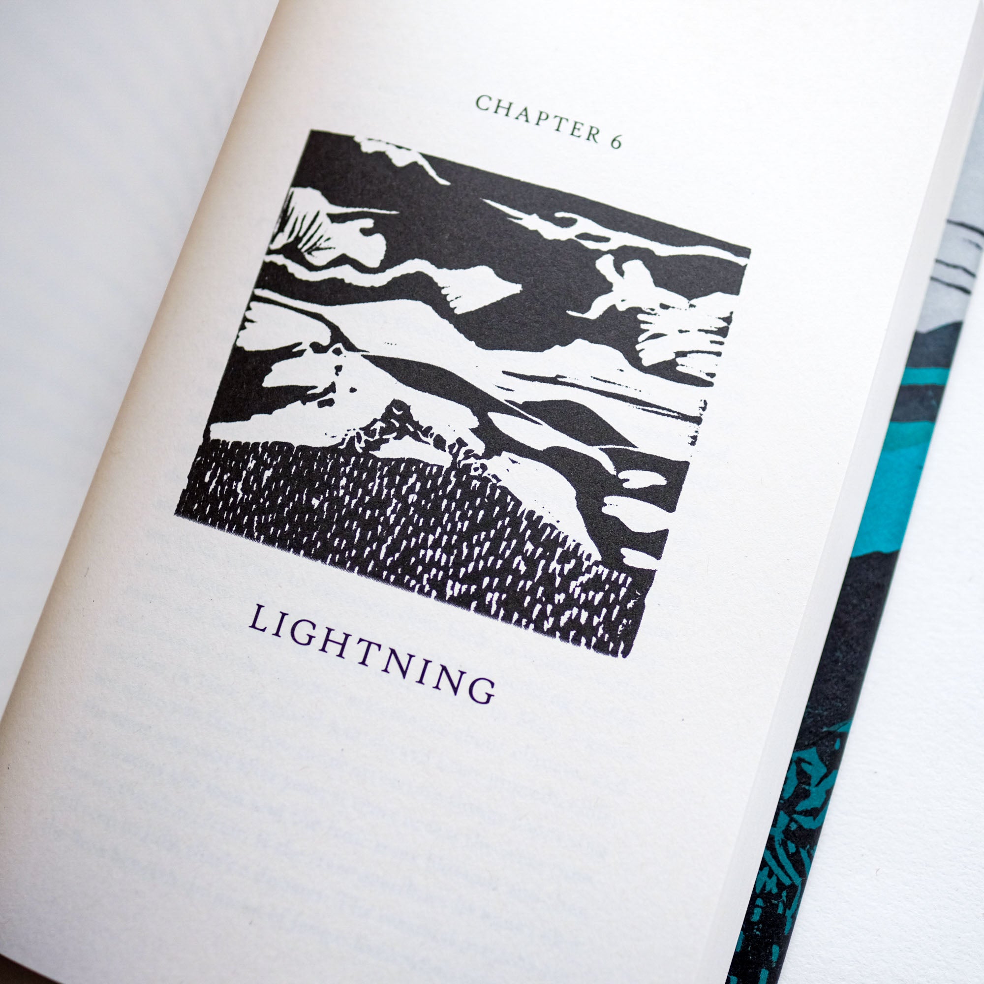 The Salt Stones: Seasons of a Shepherd’s Life by Helen Whybrow