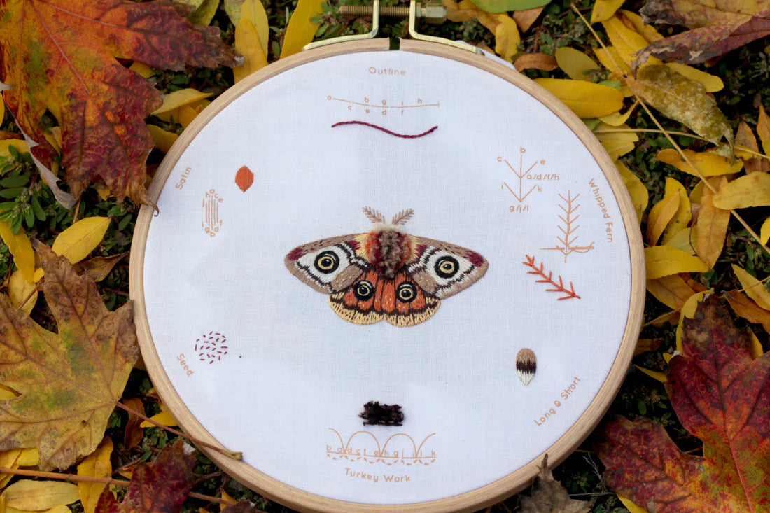 Moth Embroidery Stitch Sampler