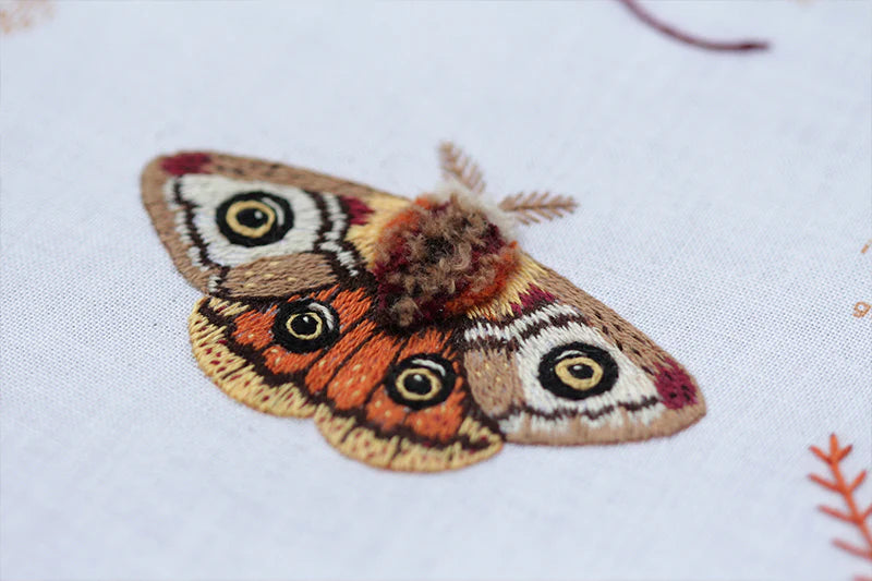 Moth Embroidery Stitch Sampler