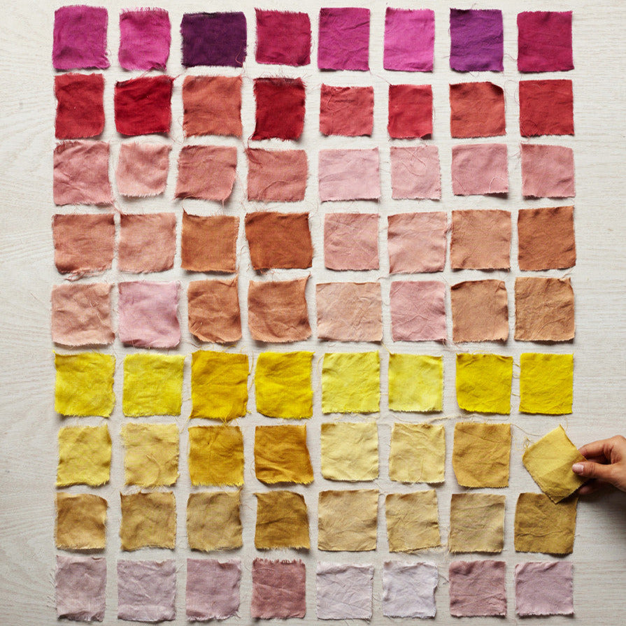 The Modern Natural Dyer by Kristine Vejar