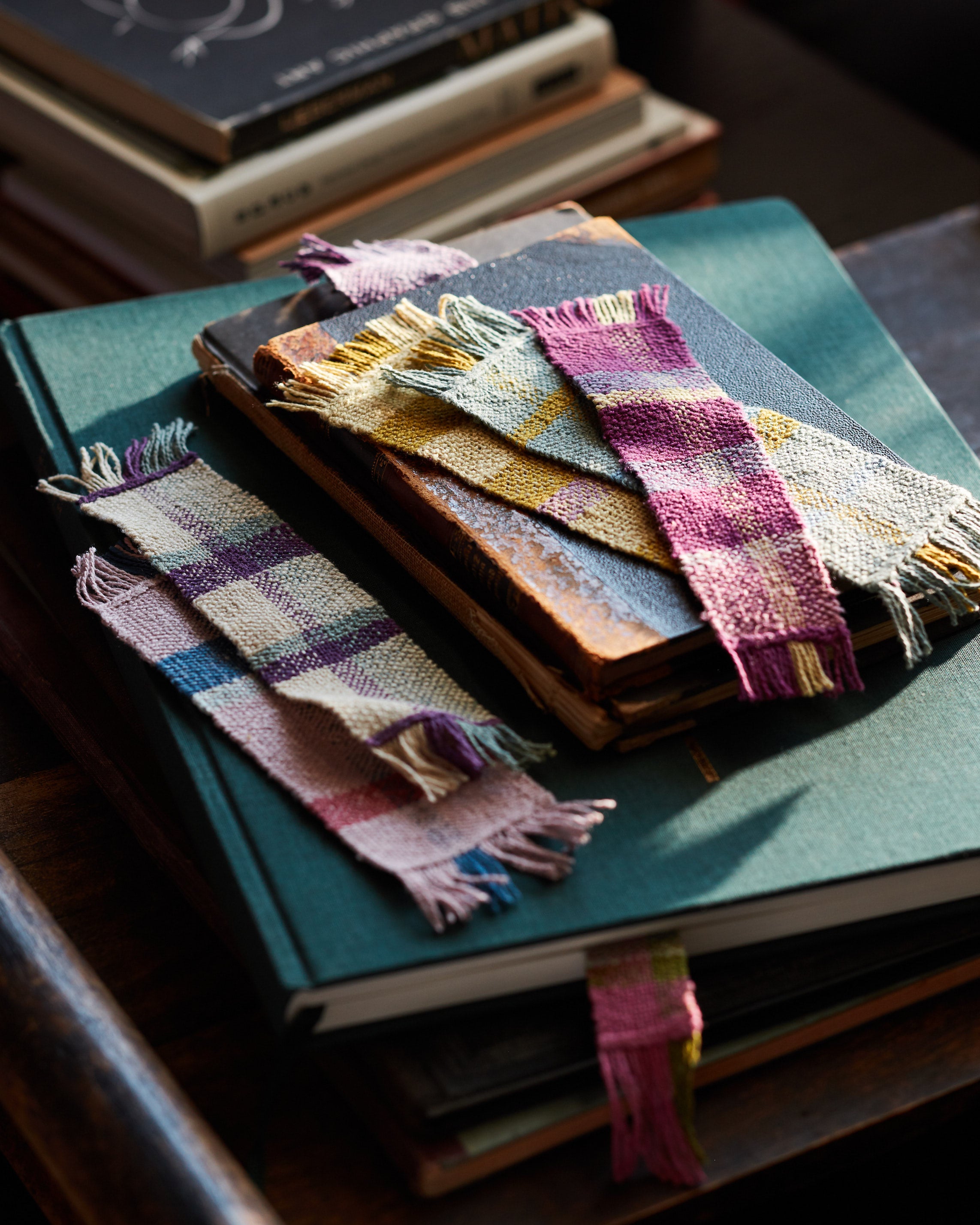 Journeys in Natural Dyeing: Techniques for Creating Color at Home by Kristine Vejar and Adrienne Rodriguez