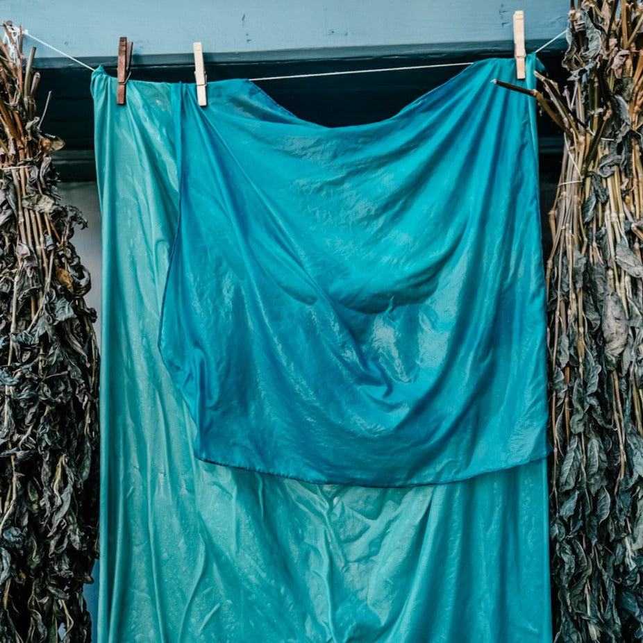 Dyeing with Freshly Harvested Indigo Leaves - Saturday, August 3rd, 2024