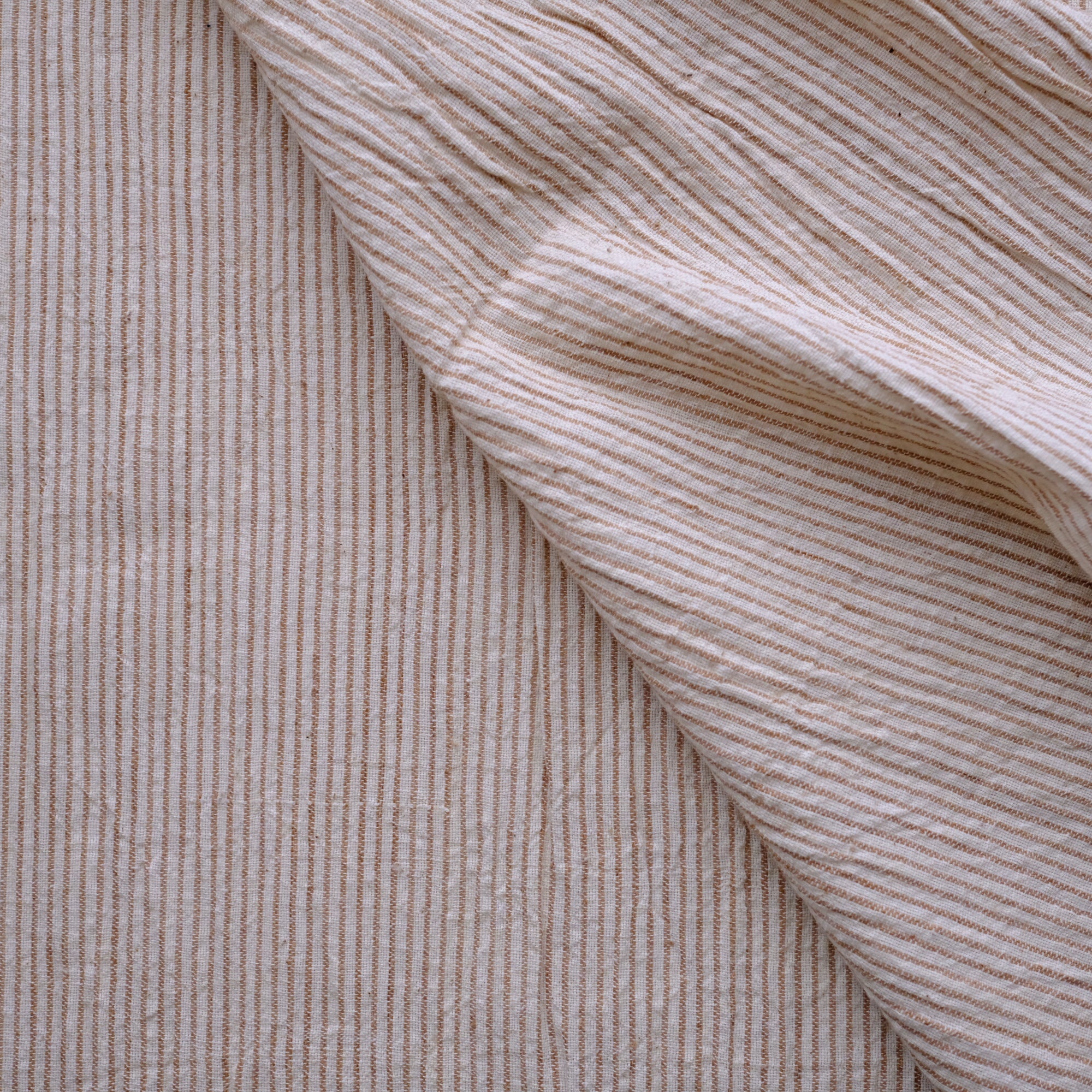 Label: Stripe - Version 1 - Acacia and White