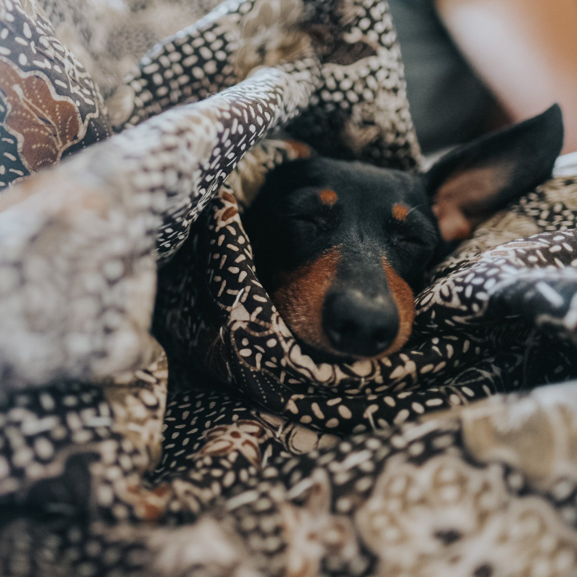 AVFKW x Kebon Indah Collective - The Picture Window Quilt Bundle