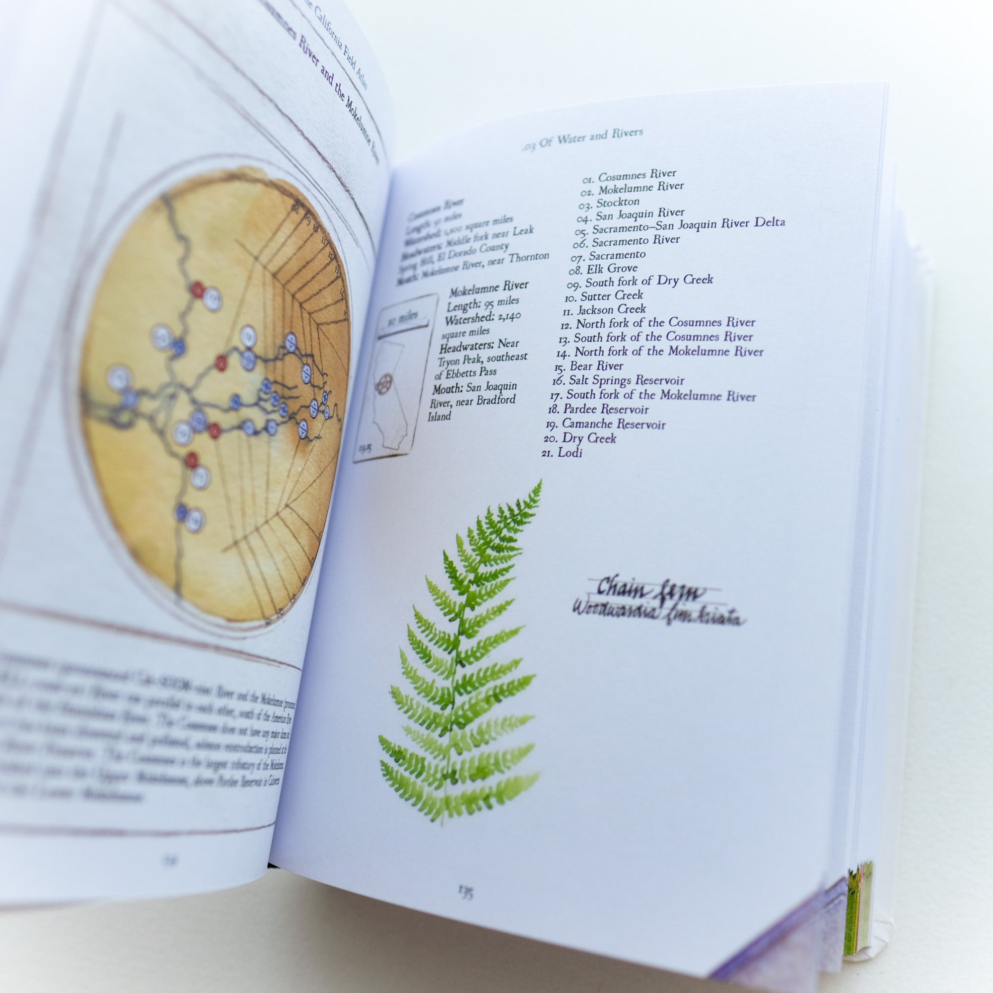 California Field Atlas by Obi Kaufmann