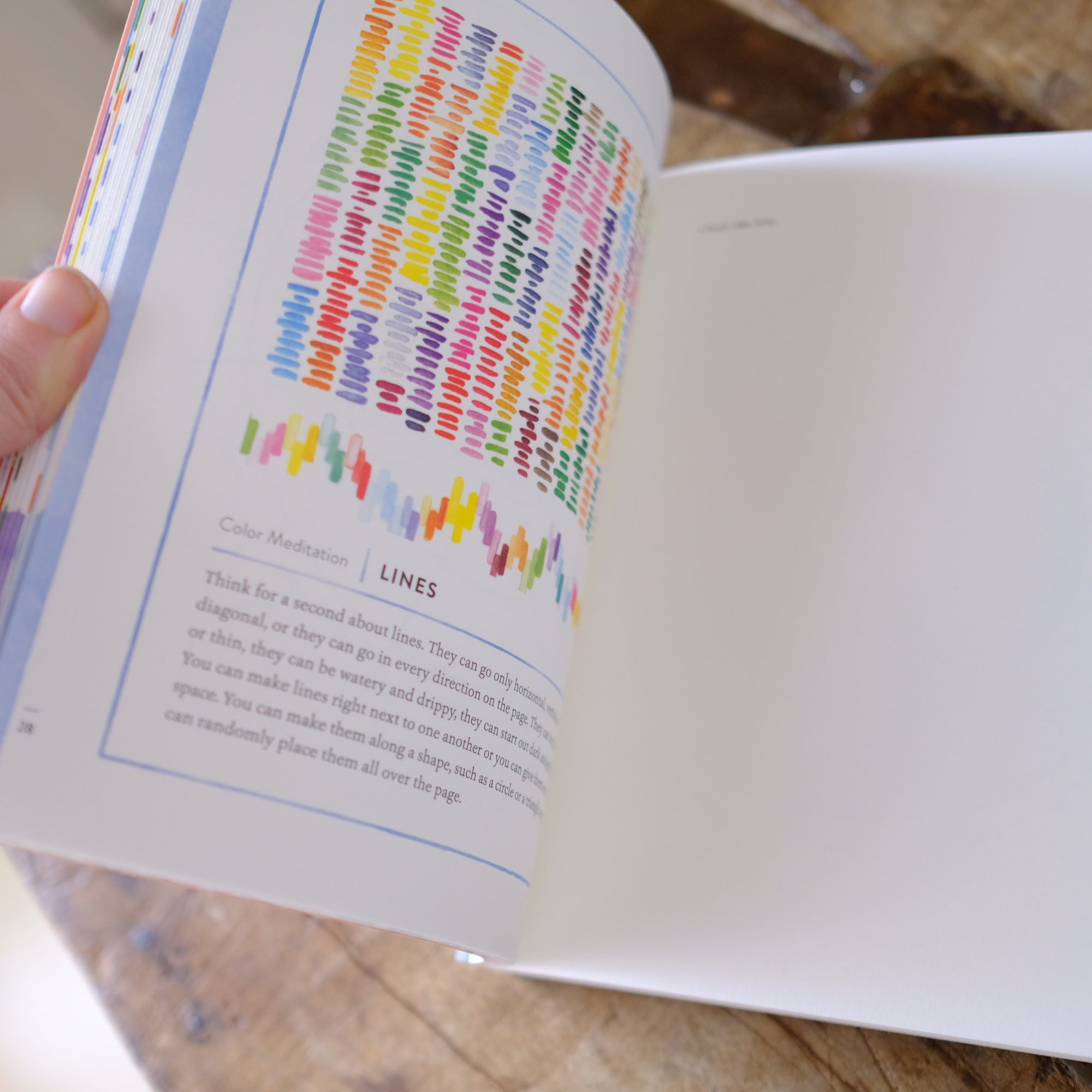 A Field Guide to Color: A Watercolor Workbook by Lisa Solomon