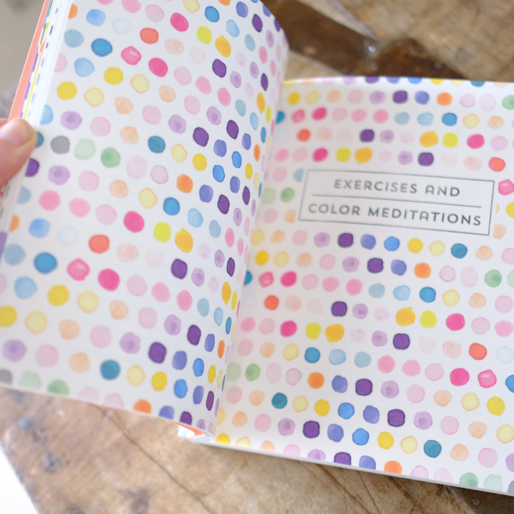 A Field Guide to Color: A Watercolor Workbook by Lisa Solomon