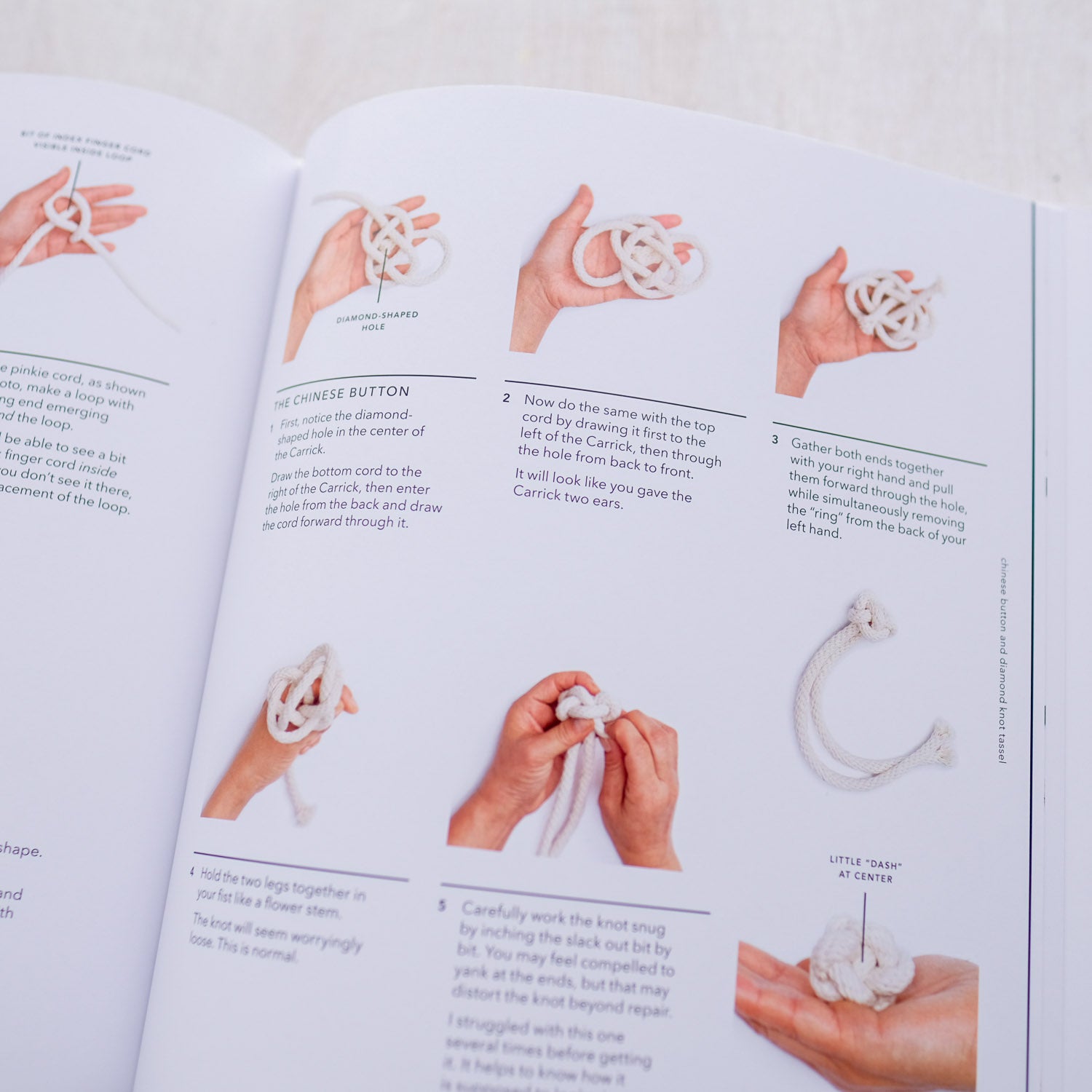 The Year of Knots by Windy Chien