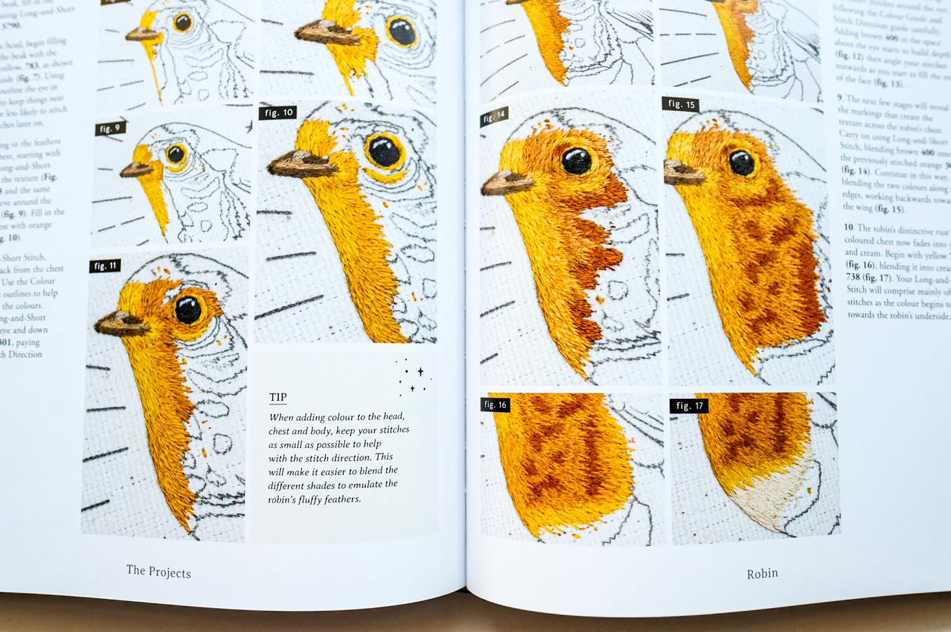 Paint with Thread: A Step-by-Step Guide to Embroidery Through the Seasons by Emillie Ferris