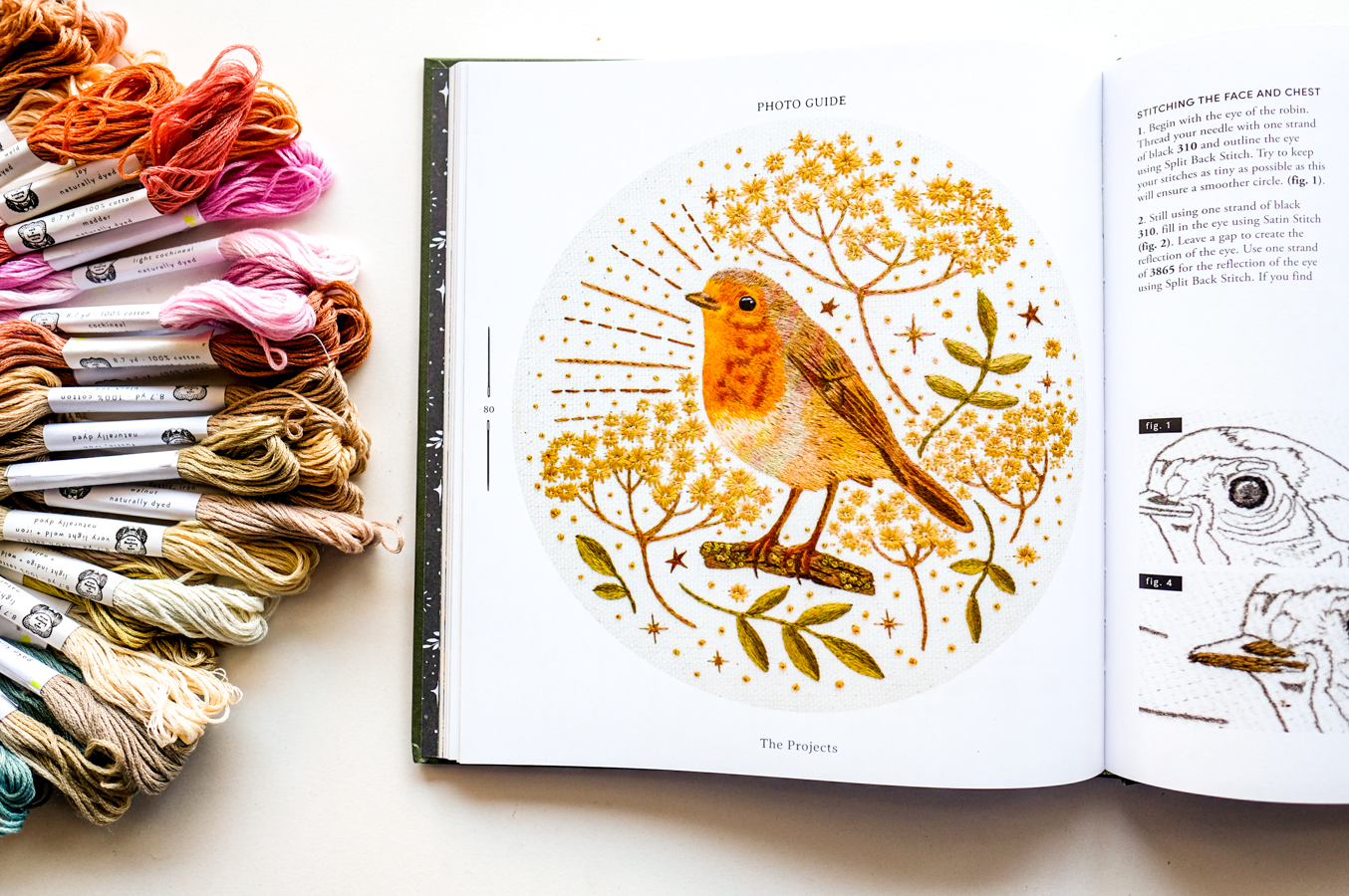 Paint with Thread: A Step-by-Step Guide to Embroidery Through the Seasons by Emillie Ferris