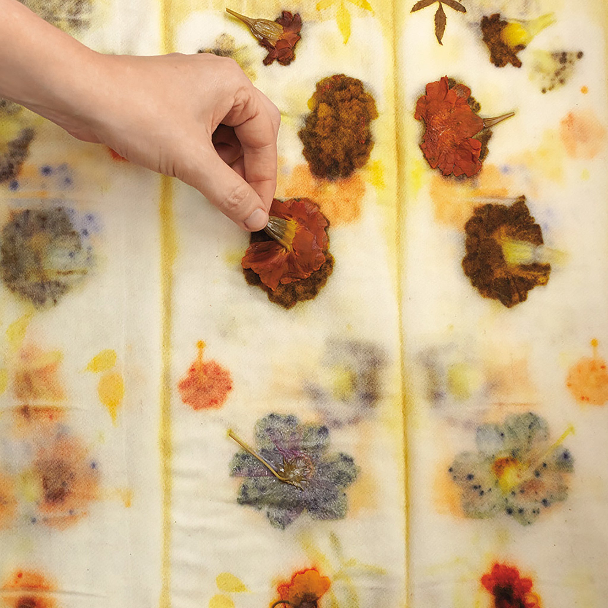 Mapping Color: Ecoprinting with Plants on Cotton and Linen Fabric - Saturday, September 28, 2024