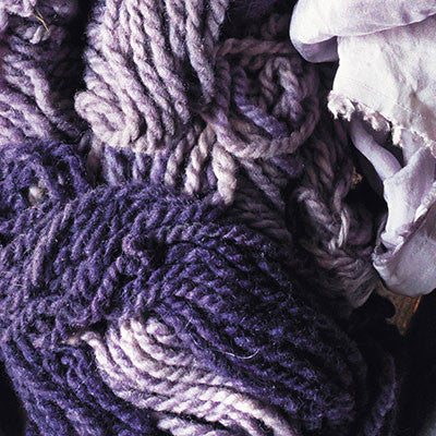 Logwood Purple