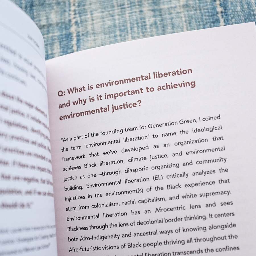 The Intersectional Environmentalist by Leah Thomas