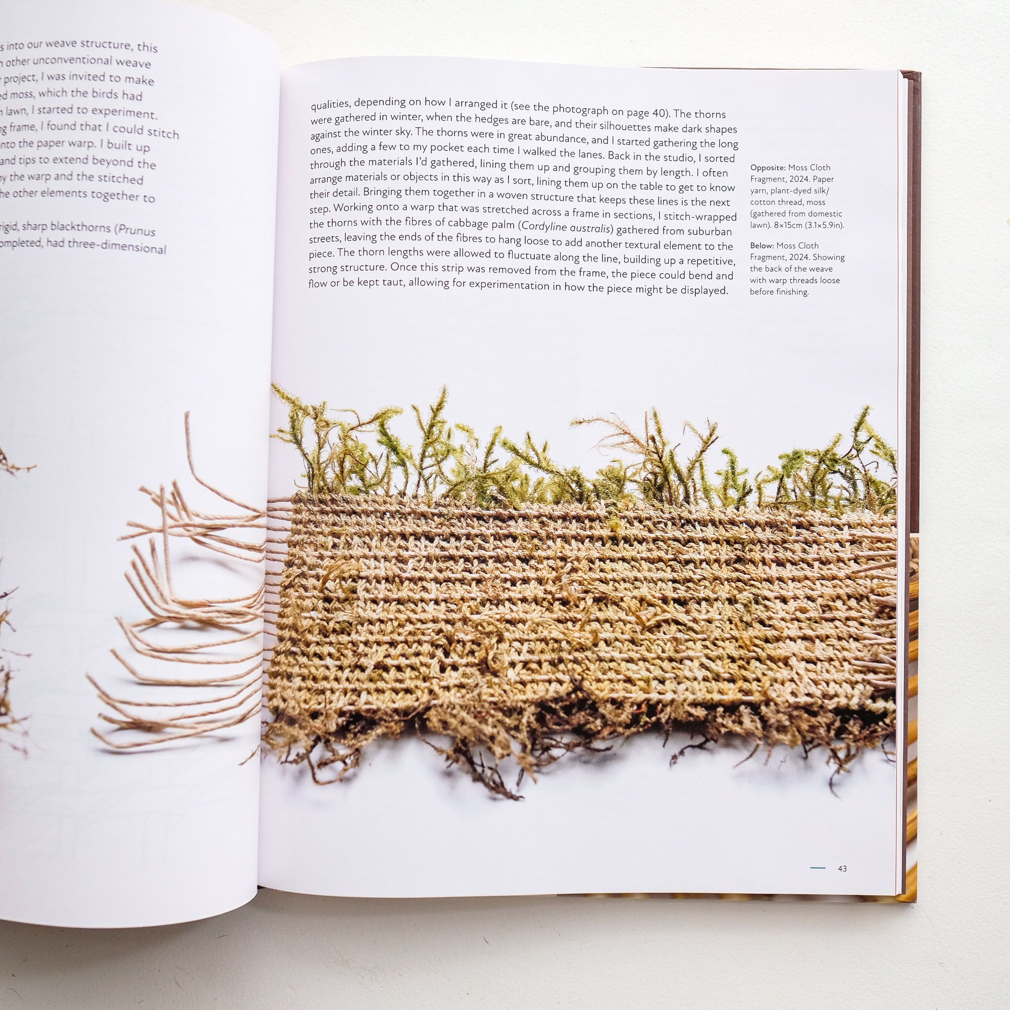 Wild Weave by Alice Fox
