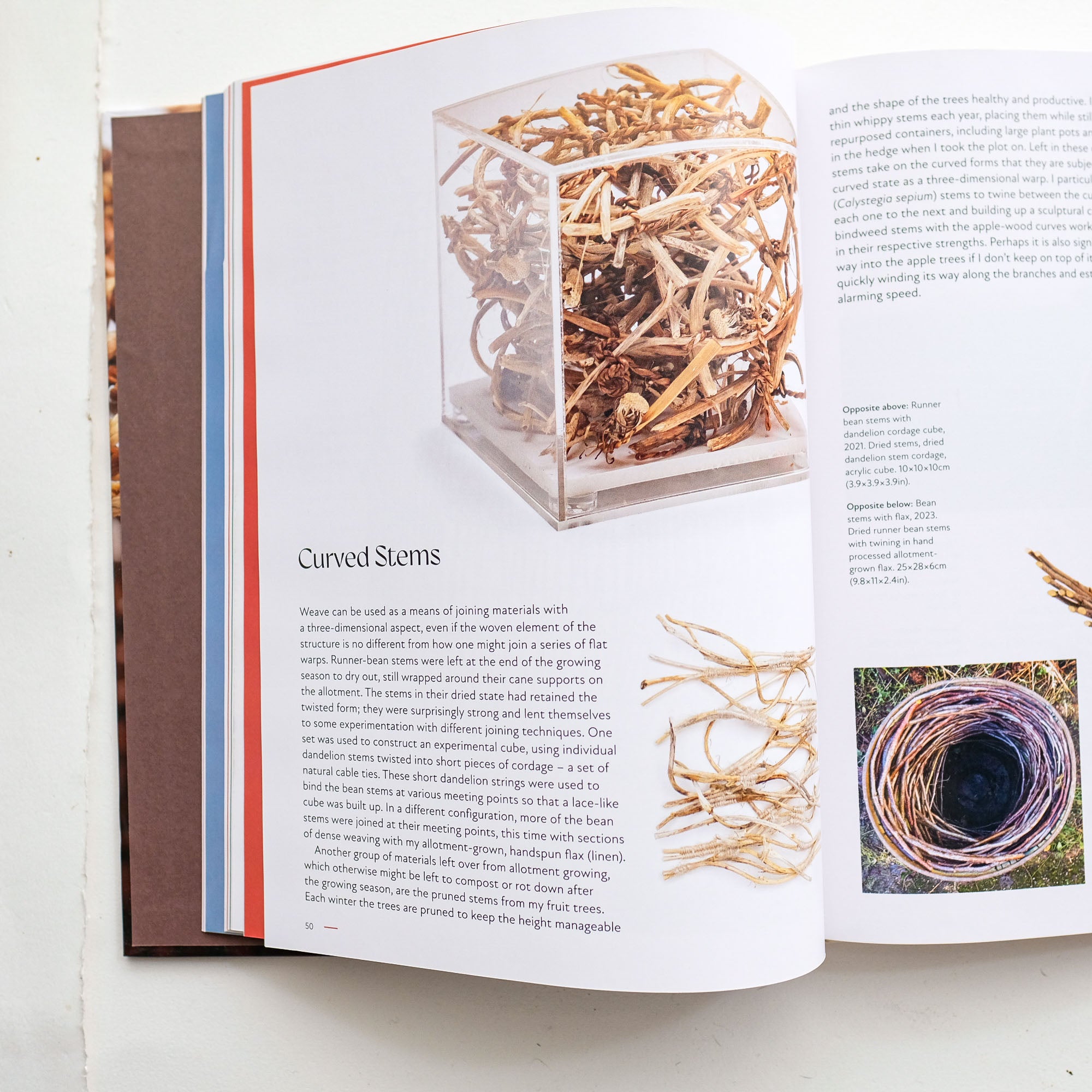 Wild Weave by Alice Fox