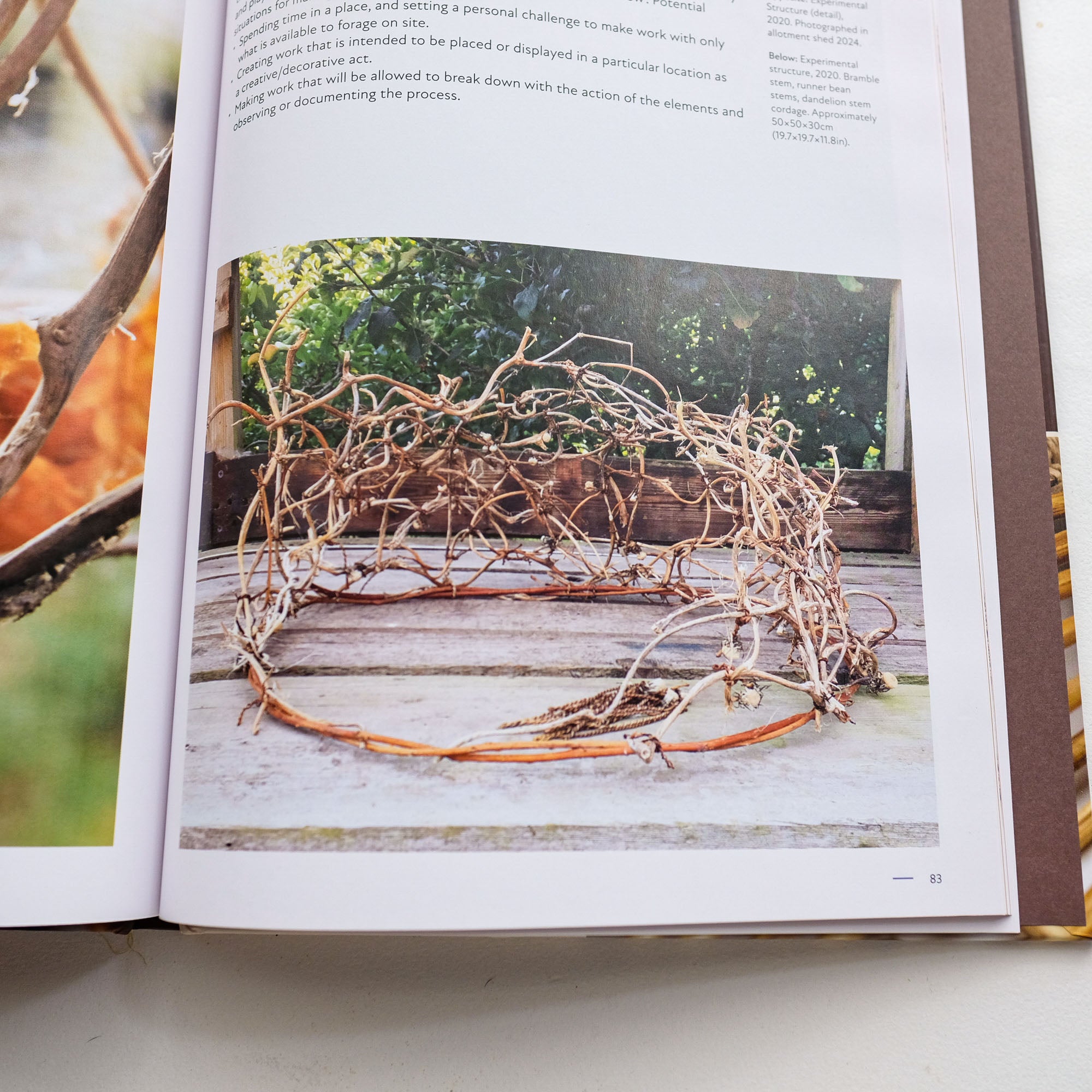 Wild Weave by Alice Fox