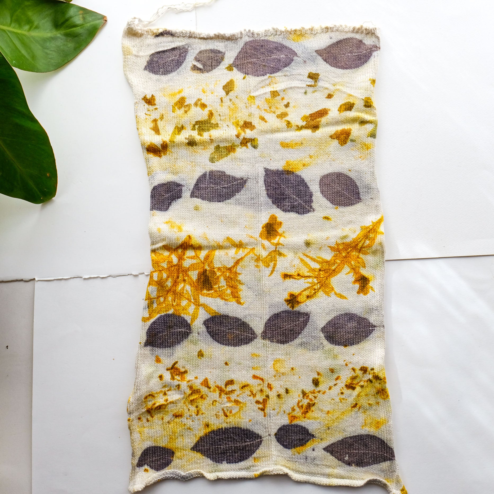 Eco-Printed Annapurna Sock Blanks