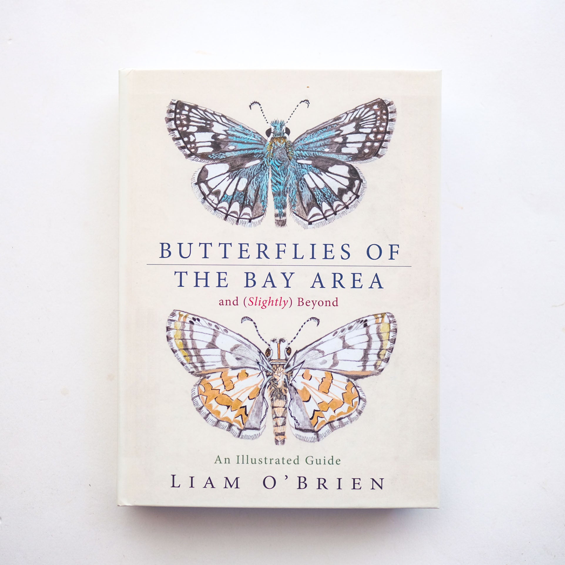 Butterflies of the Bay Area and (Slightly) Beyond: An Illustrated Guide by Liam O'Brien