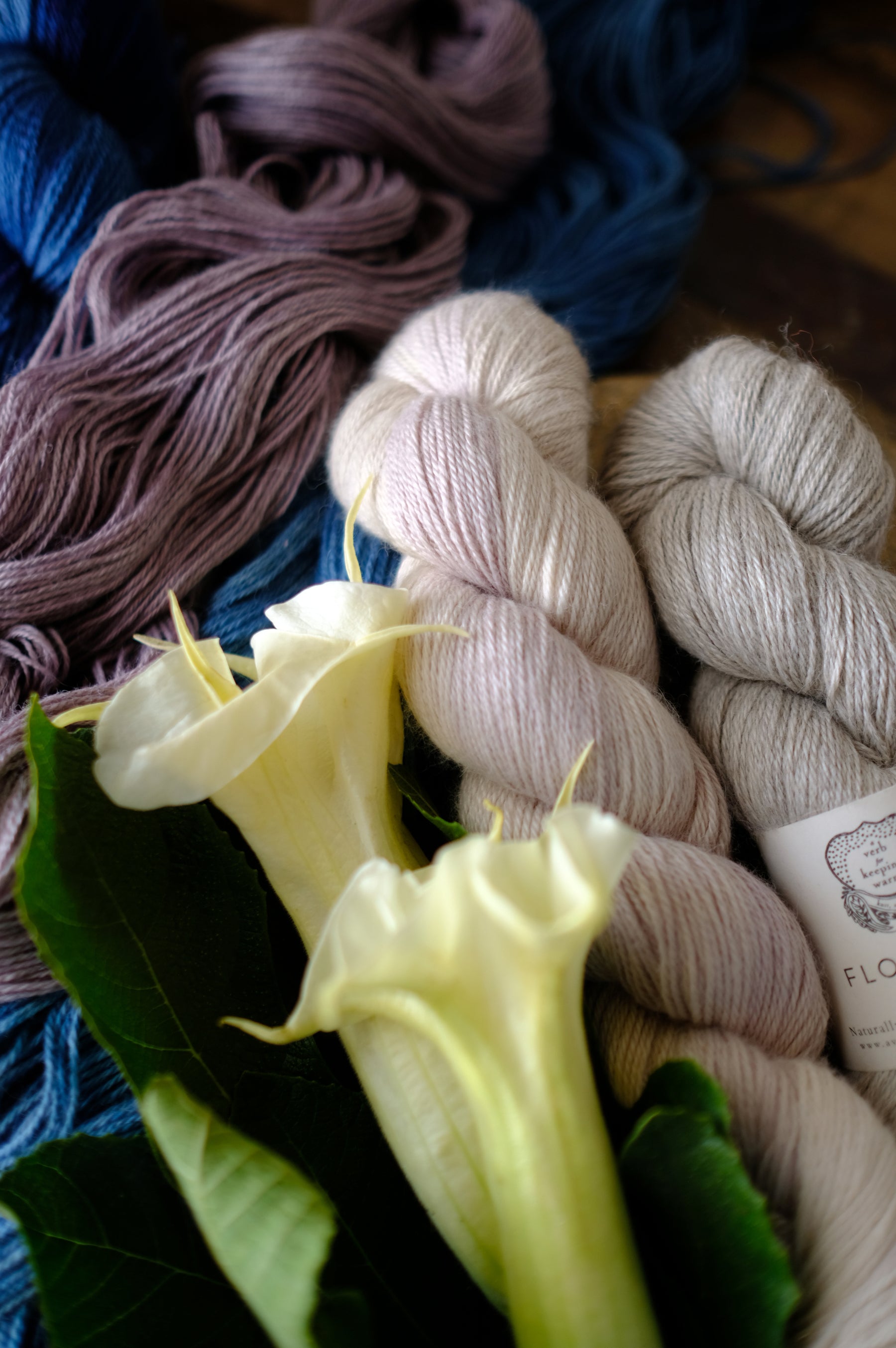 Pro-Verbial Yarn & Fiber Club