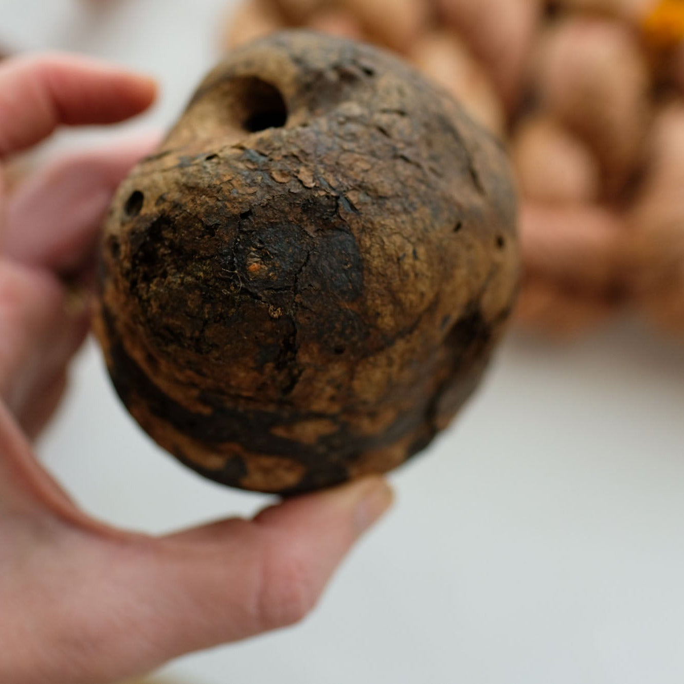 2026 Bay Area Yarn Crawl Color: Fairy Ring