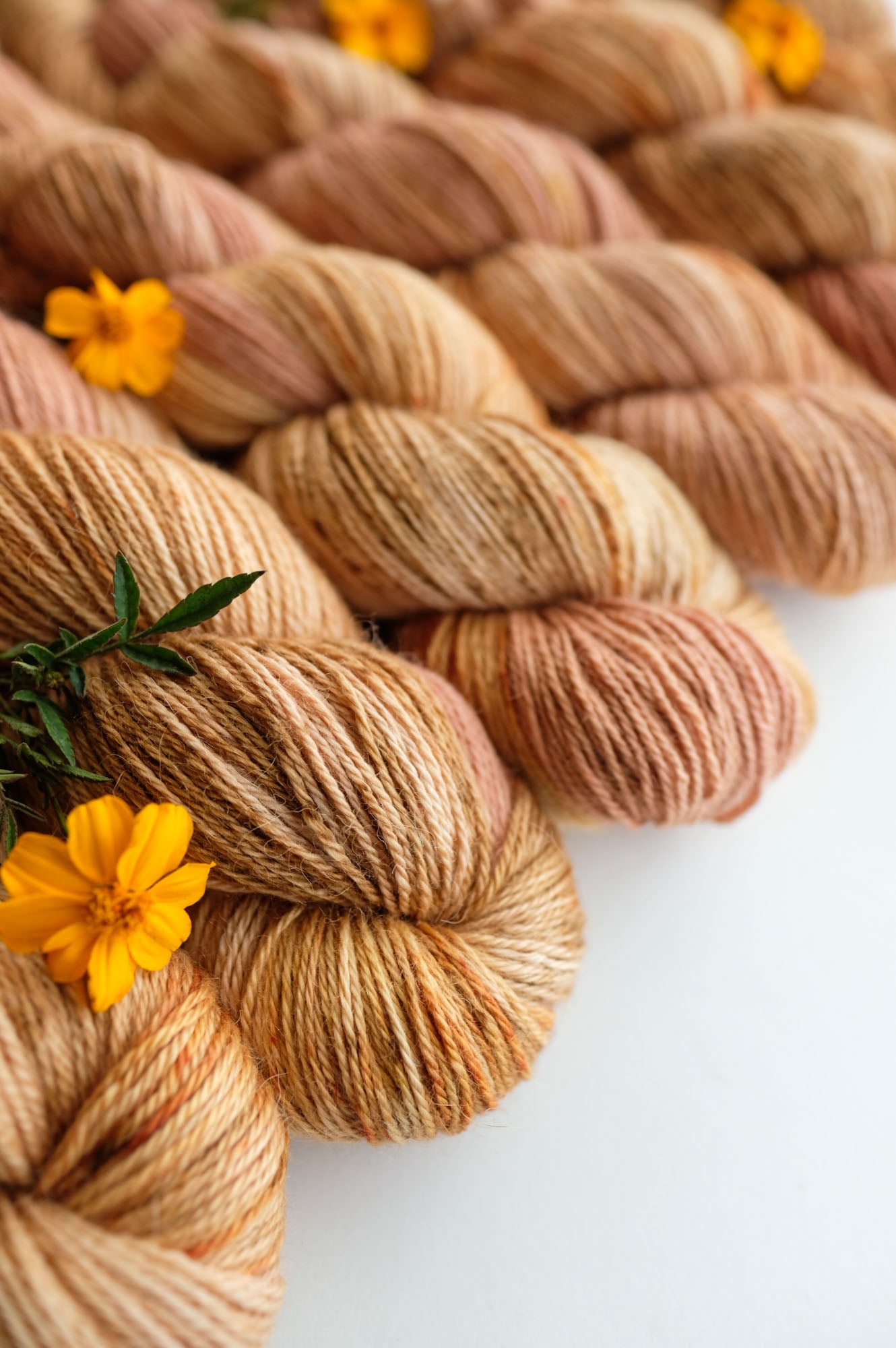 2026 Bay Area Yarn Crawl Color: Fairy Ring