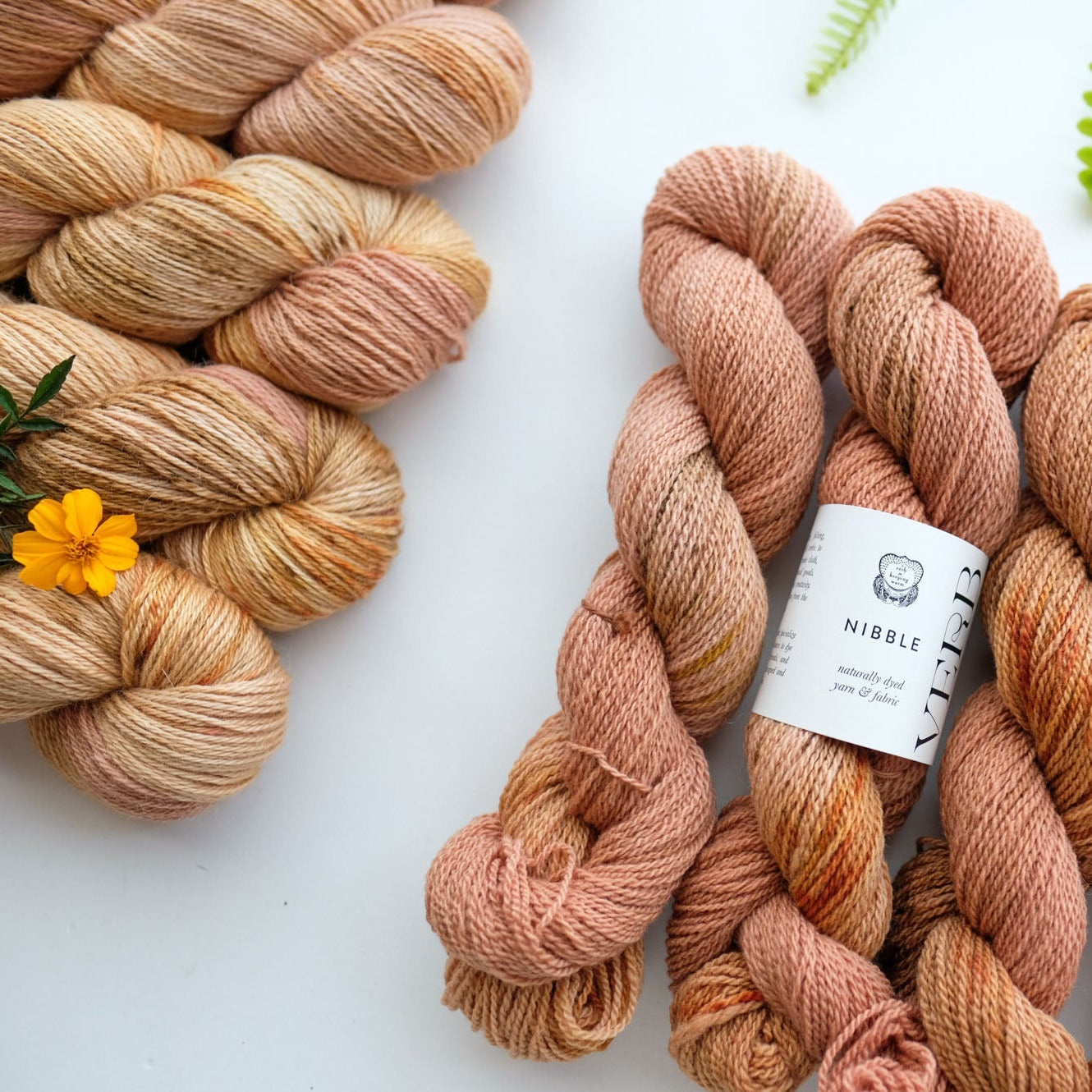 2026 Bay Area Yarn Crawl Color: Fairy Ring