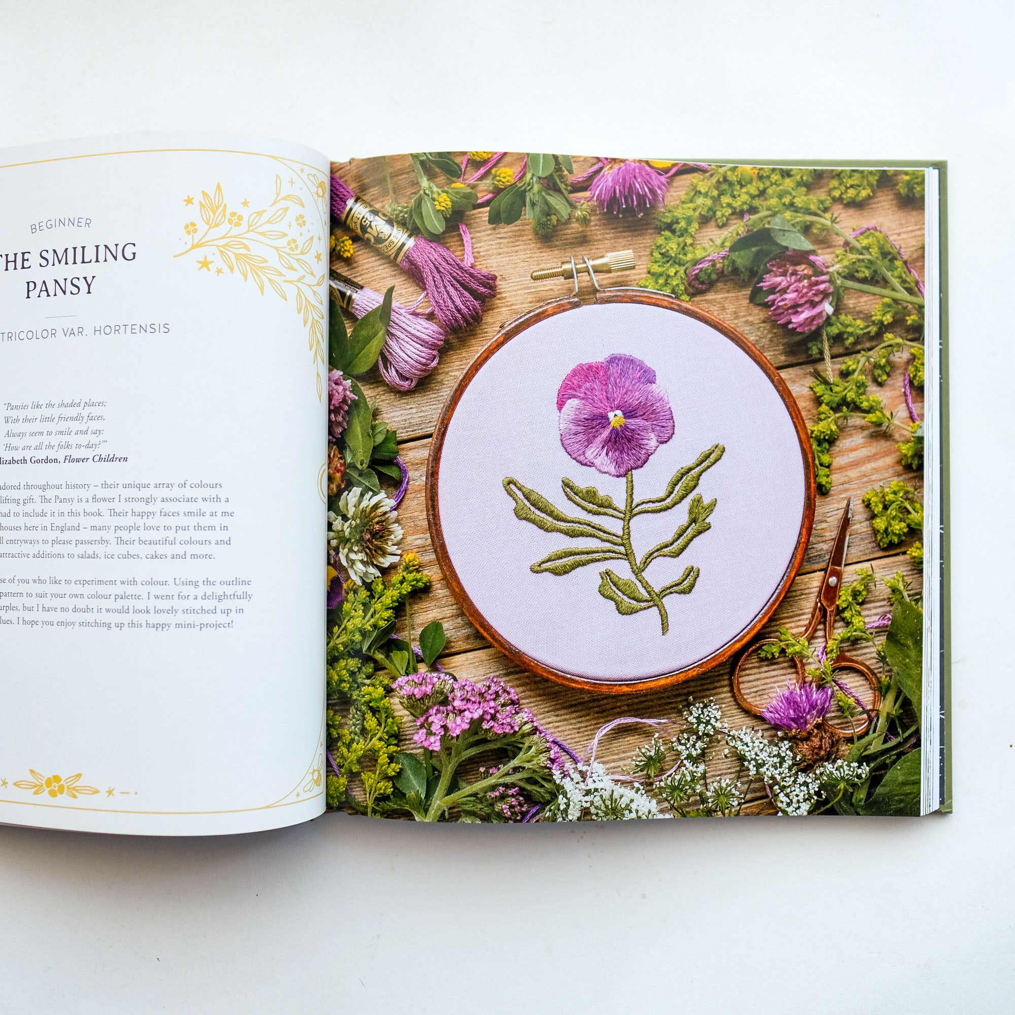 Paint with Thread: In the Garden: A Step-by-Step Guide to Embroidery by Emillie Ferris