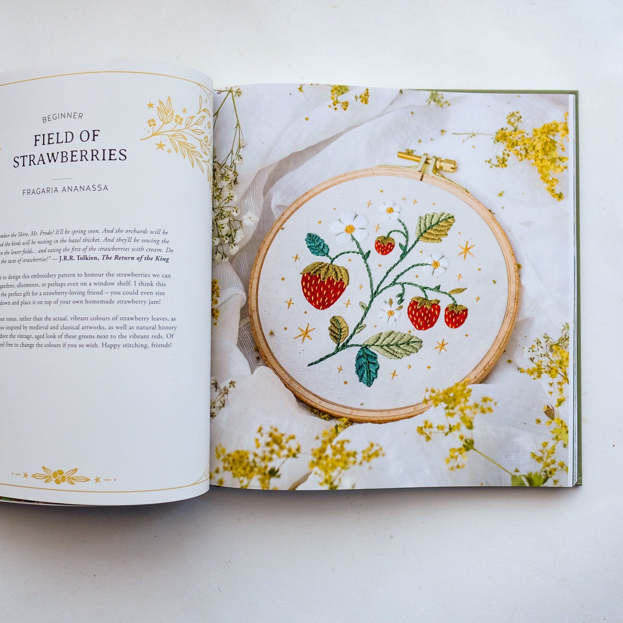 Paint with Thread: In the Garden: A Step-by-Step Guide to Embroidery by Emillie Ferris