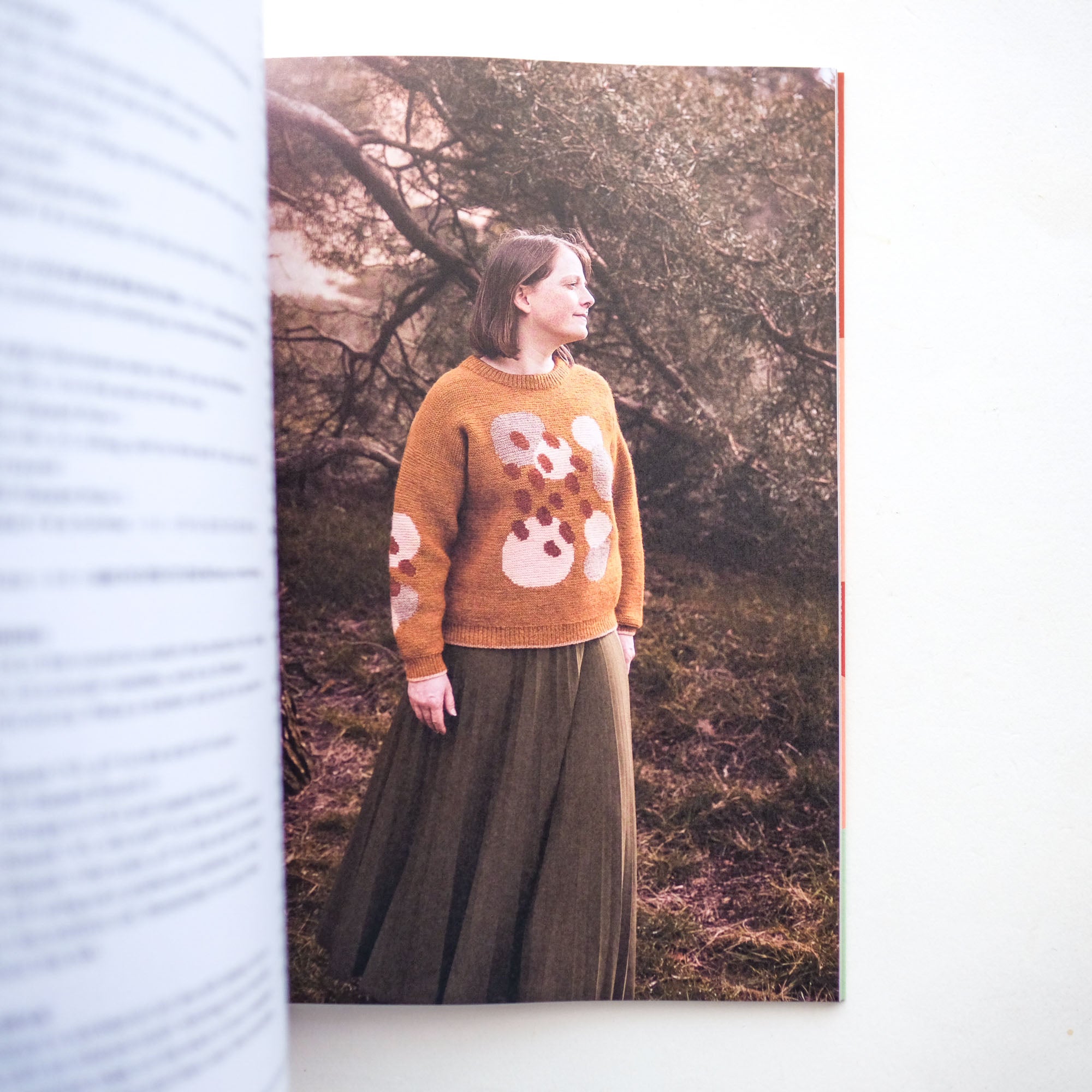 Intarsia Knits by Anna Husemann