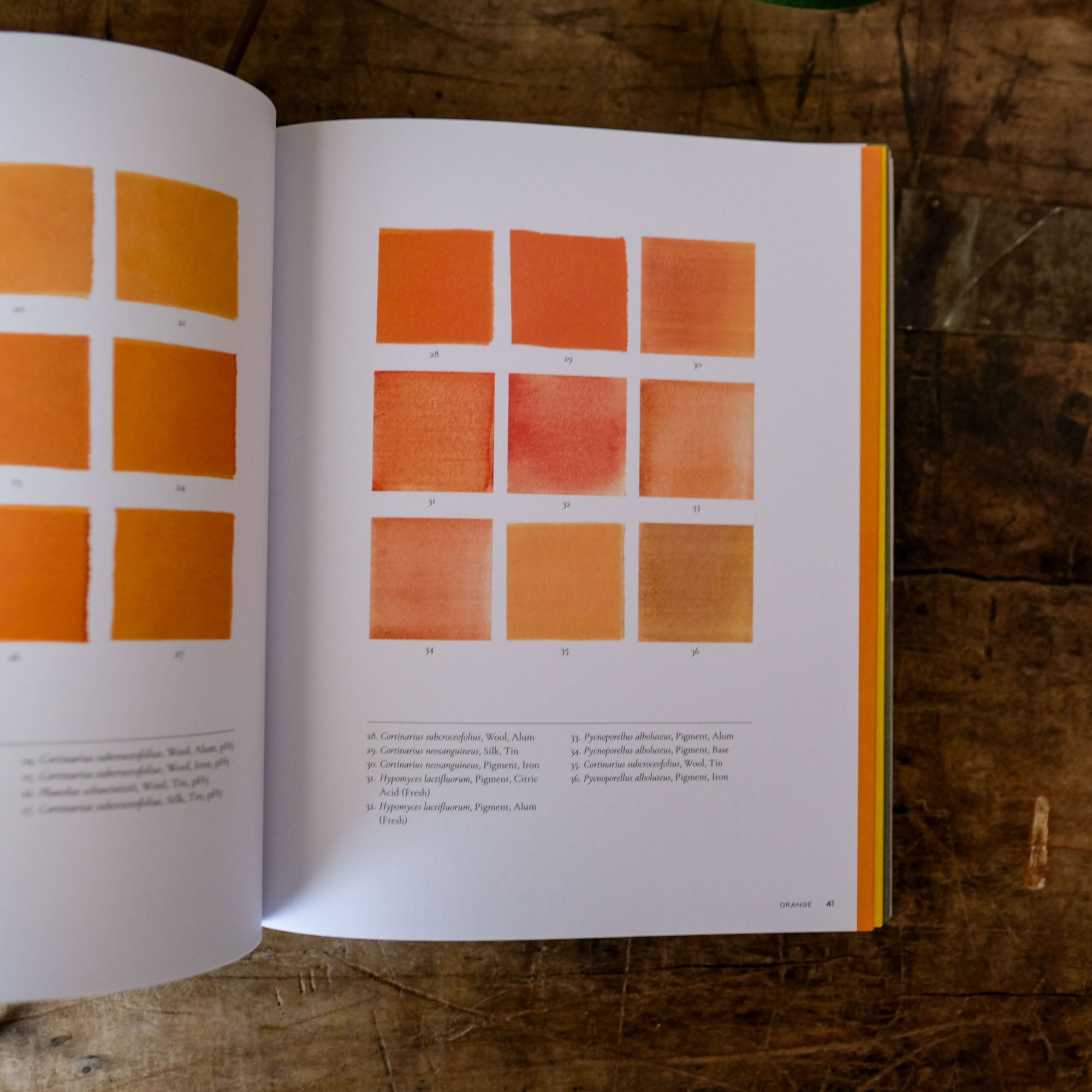 The Mushroom Color Atlas: A Guide to Dyes and Pigments Made fom Fungi by Julie Beeler