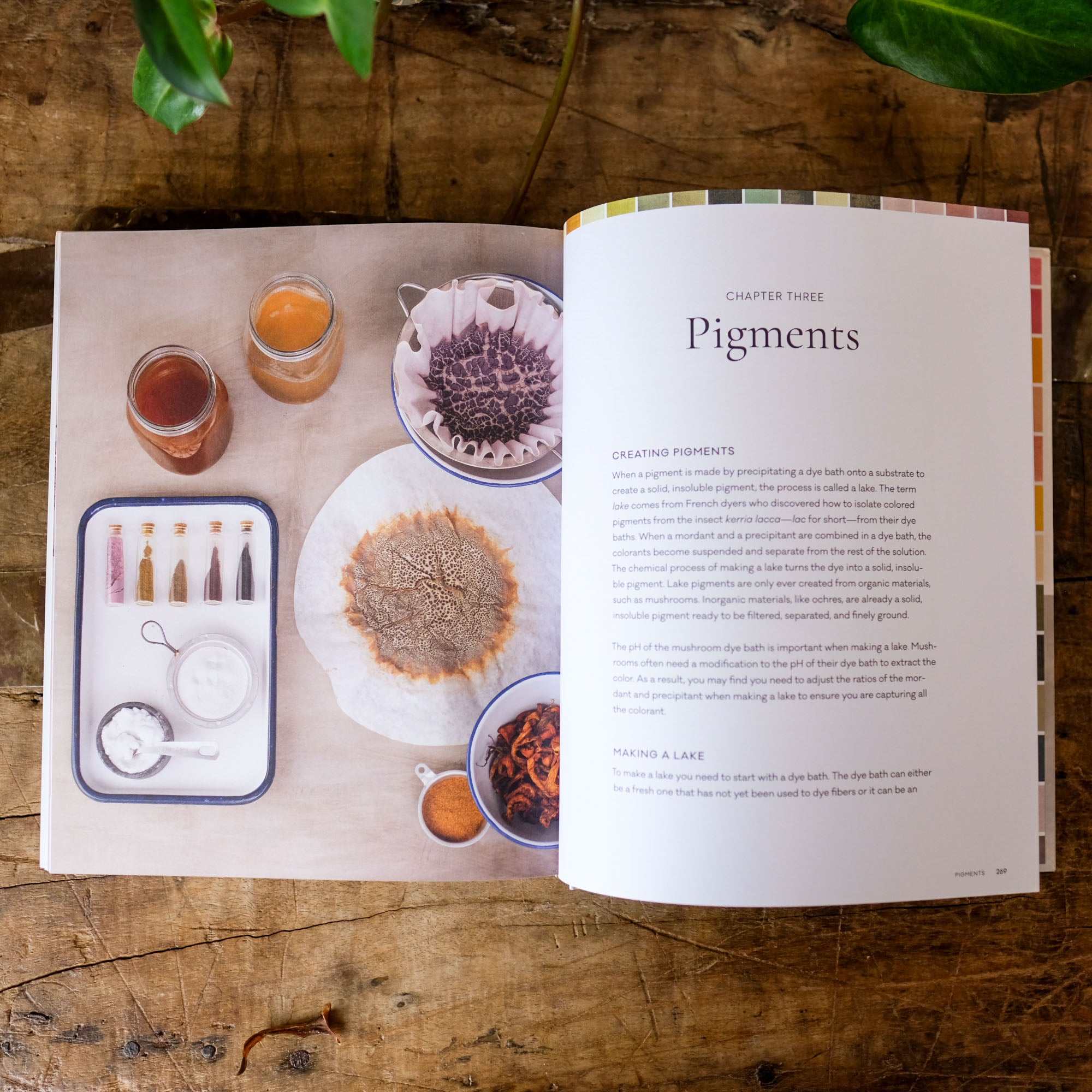 The Mushroom Color Atlas: A Guide to Dyes and Pigments Made fom Fungi by Julie Beeler