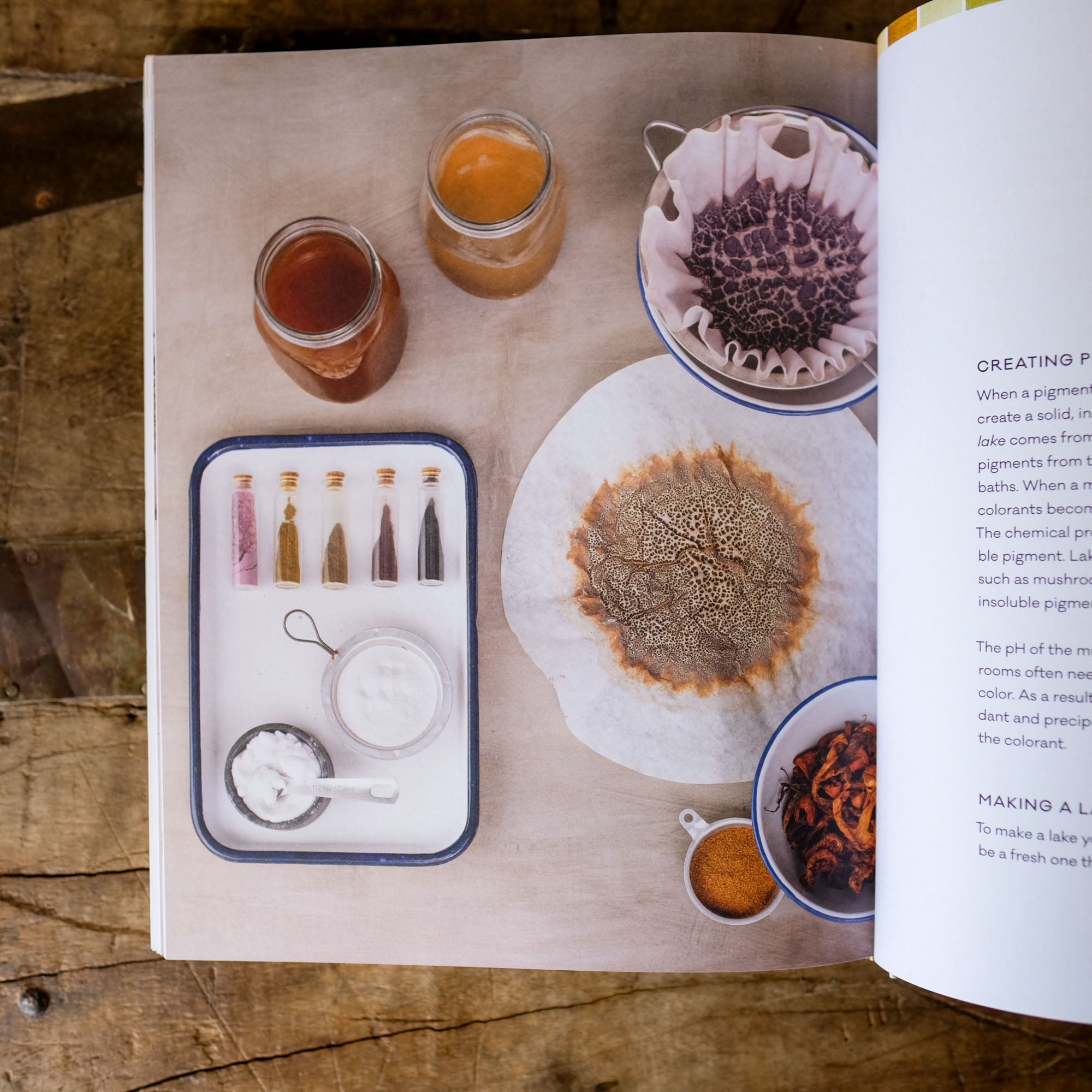 The Mushroom Color Atlas: A Guide to Dyes and Pigments Made fom Fungi by Julie Beeler