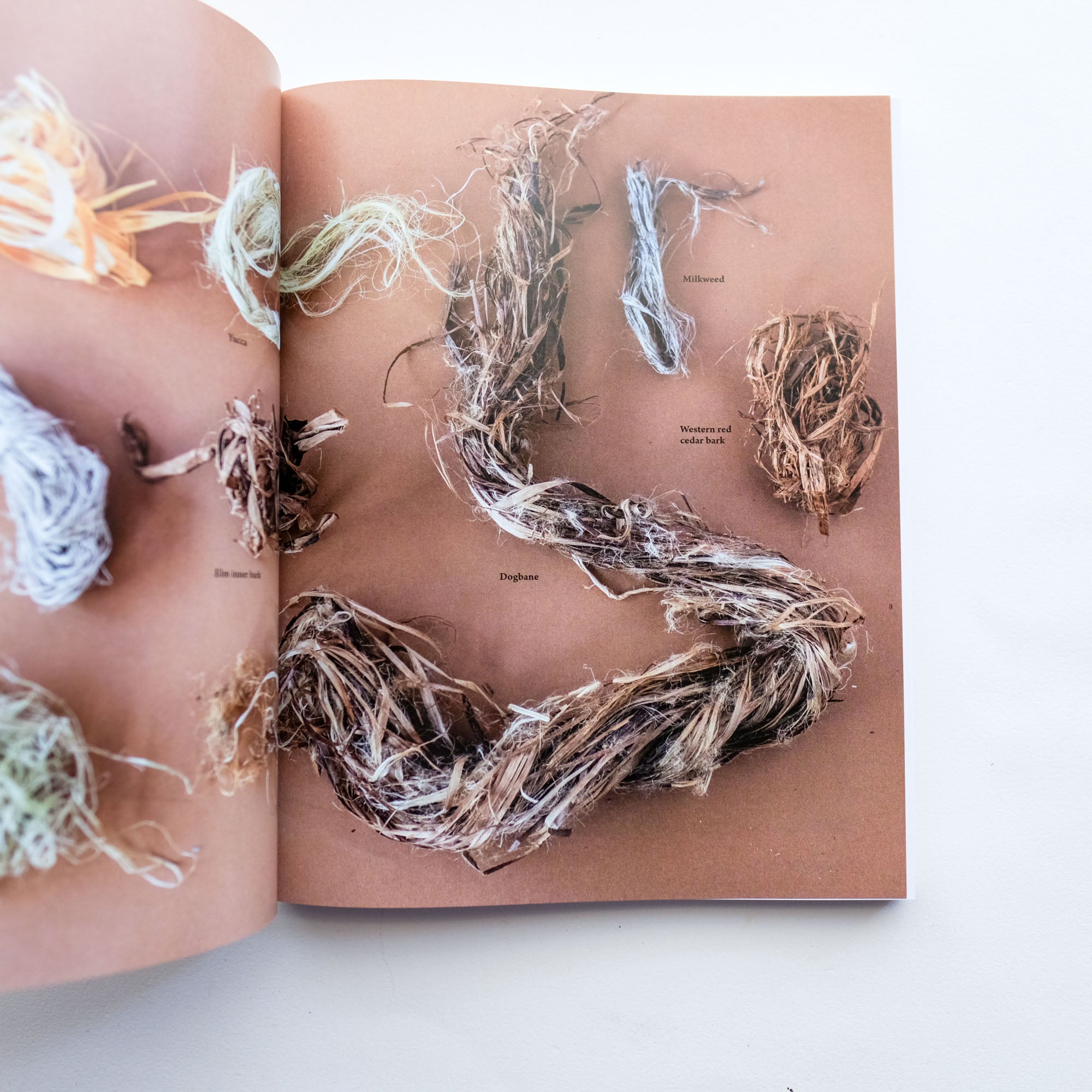 Weaving Wild Baskets by Katie Grove