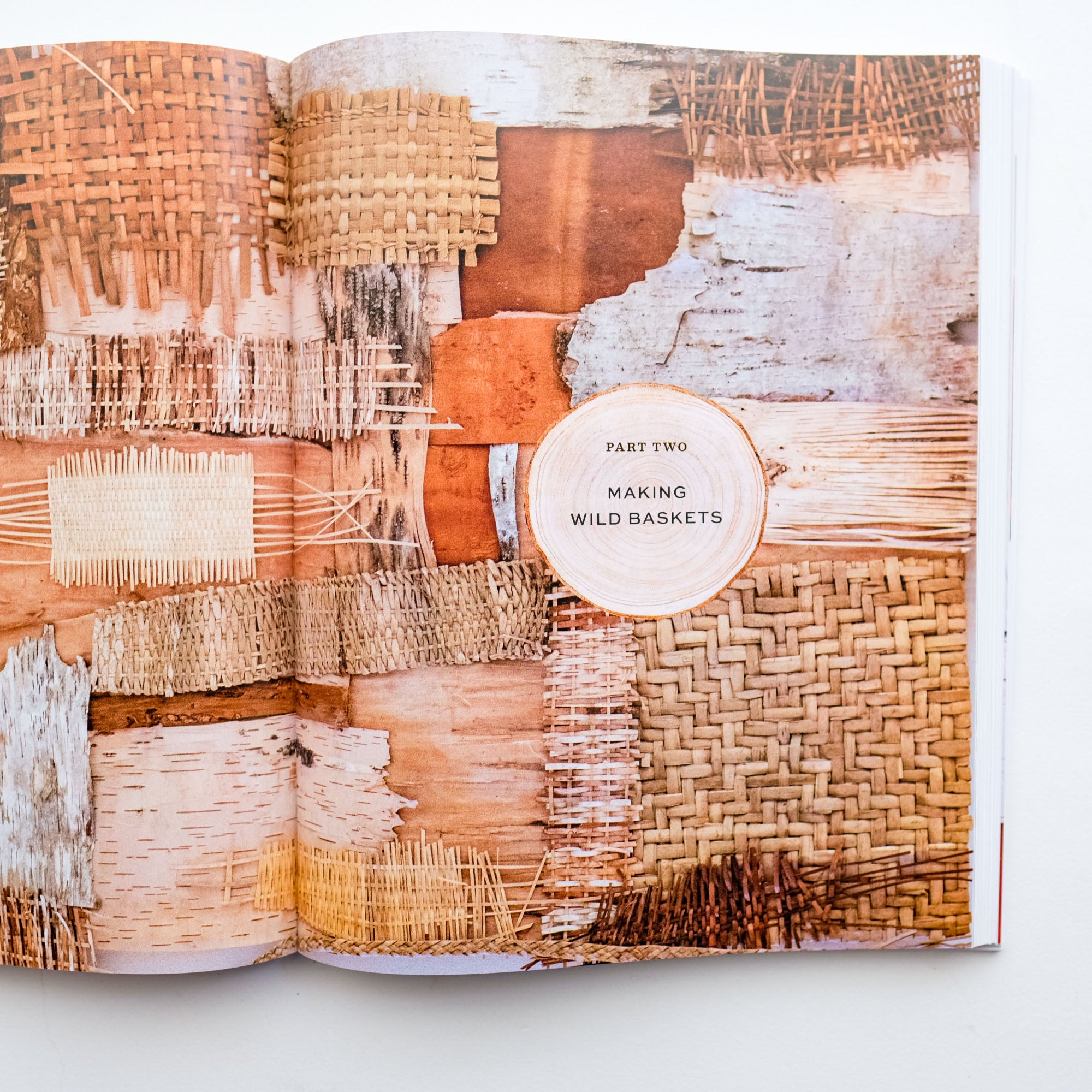 Weaving Wild Baskets by Katie Grove