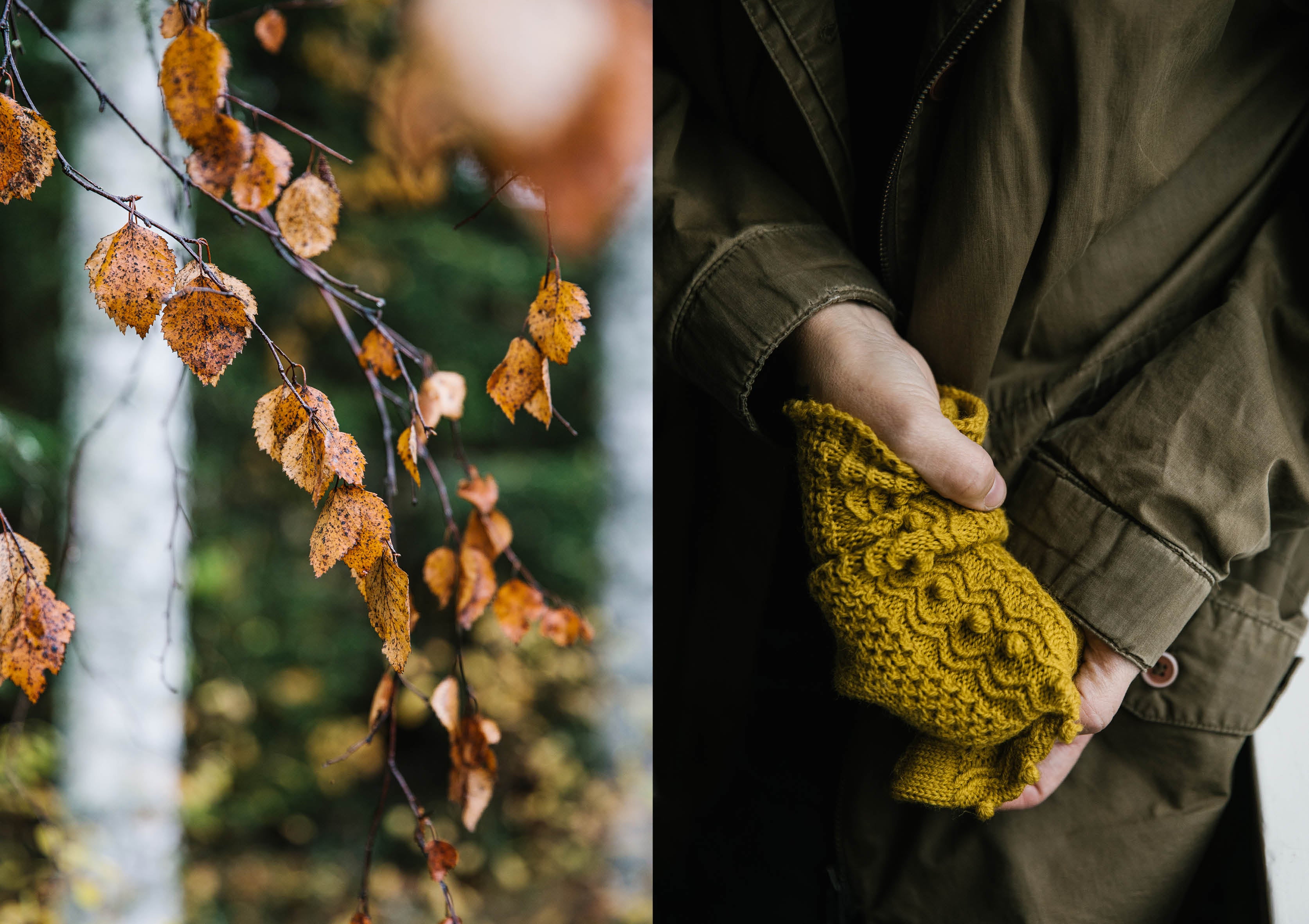 52 Weeks of Socks from Laine