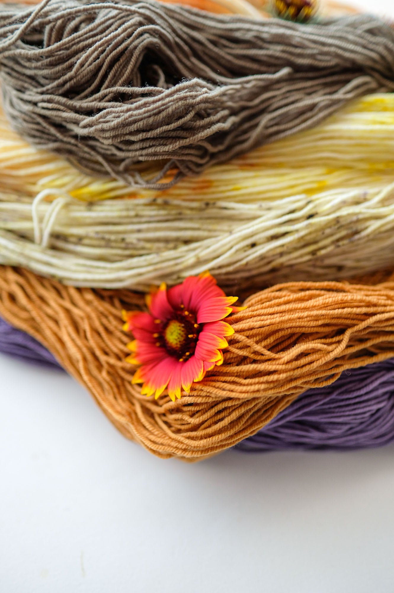 2026 AVFKW x Romi Hill Mystery Shawl Knit-a-Long Kit - PREORDER