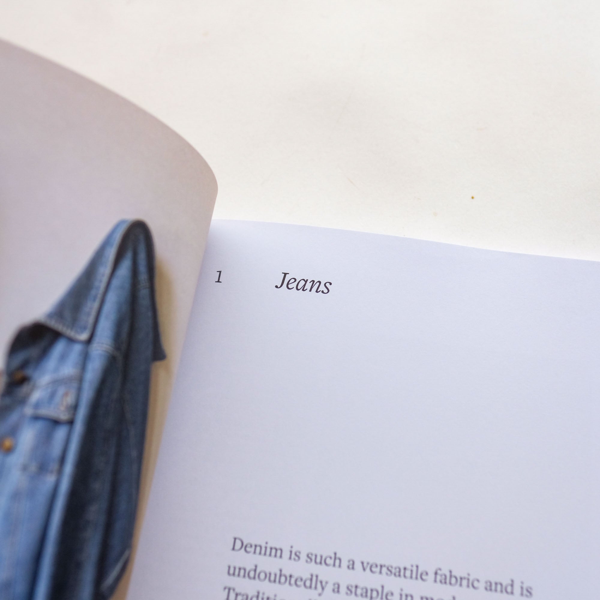 Well Worn: Visible Mending for the Clothes You Love by Skye Pennant