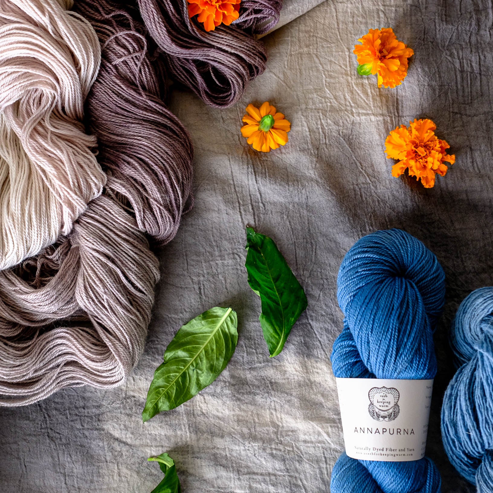 Pro-Verbial Yarn & Fiber Club