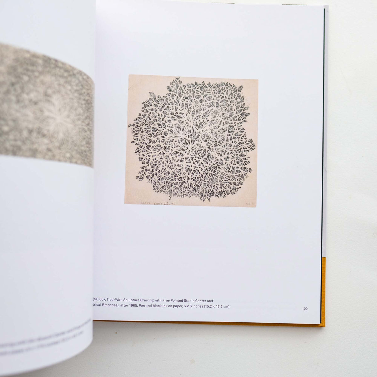Ruth Asawa: Life's Work