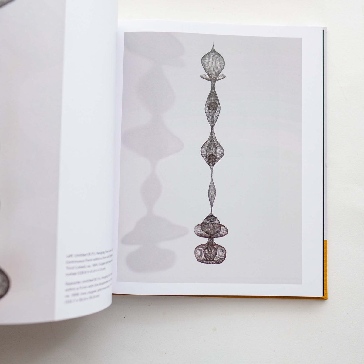 Ruth Asawa: Life's Work