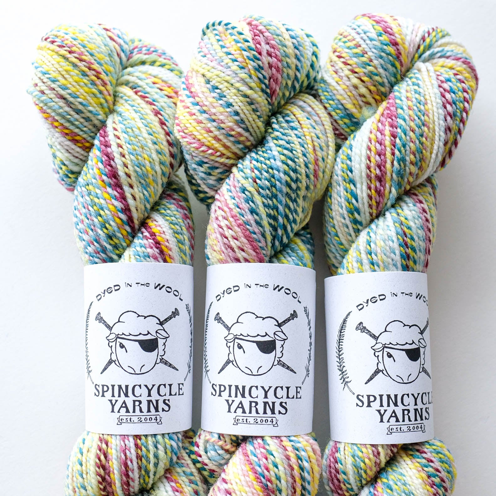 Ghost Ranch: Spincycle Yarns Dyed in the Wool – PortFiber