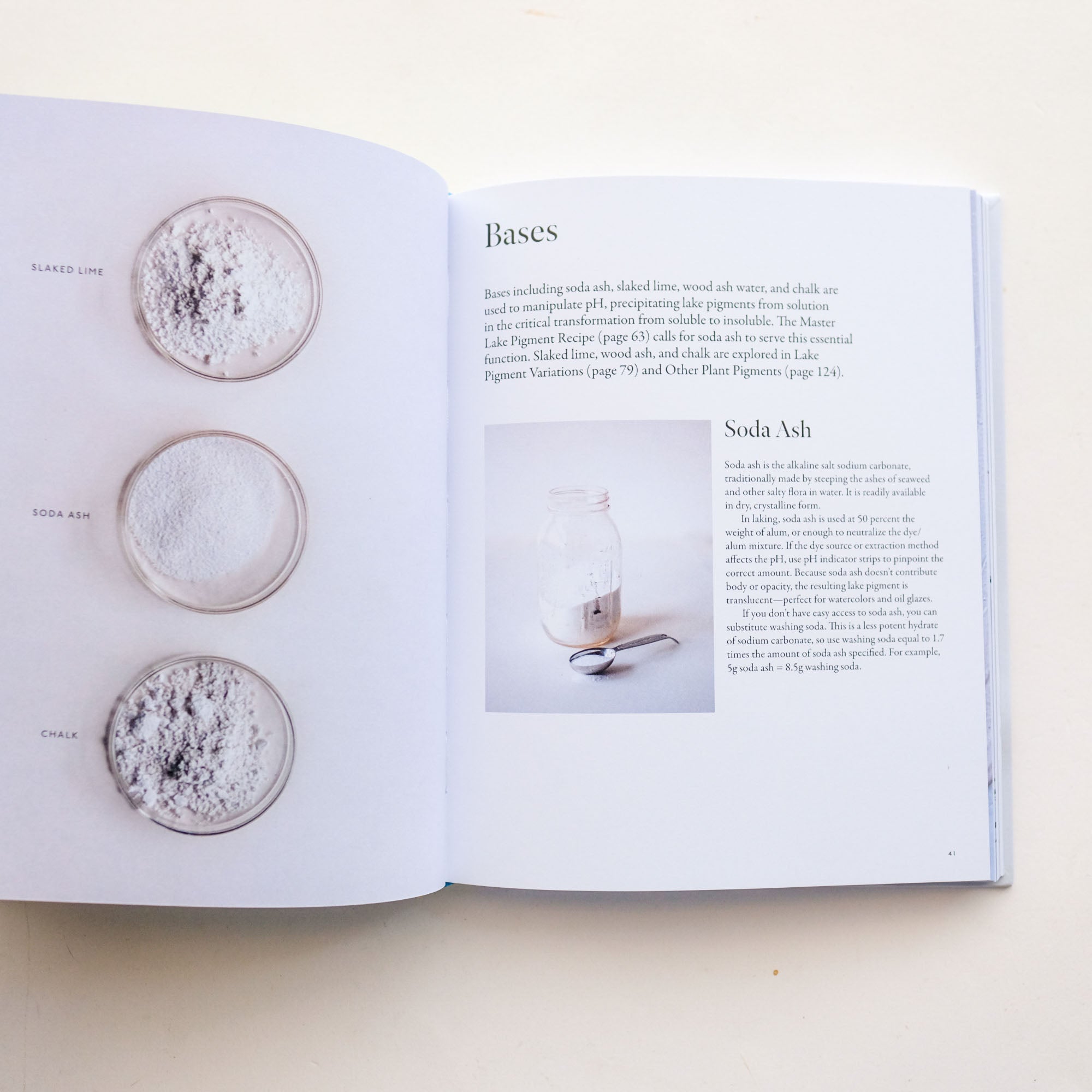 From Plant to Pigment by Natalie Stopka