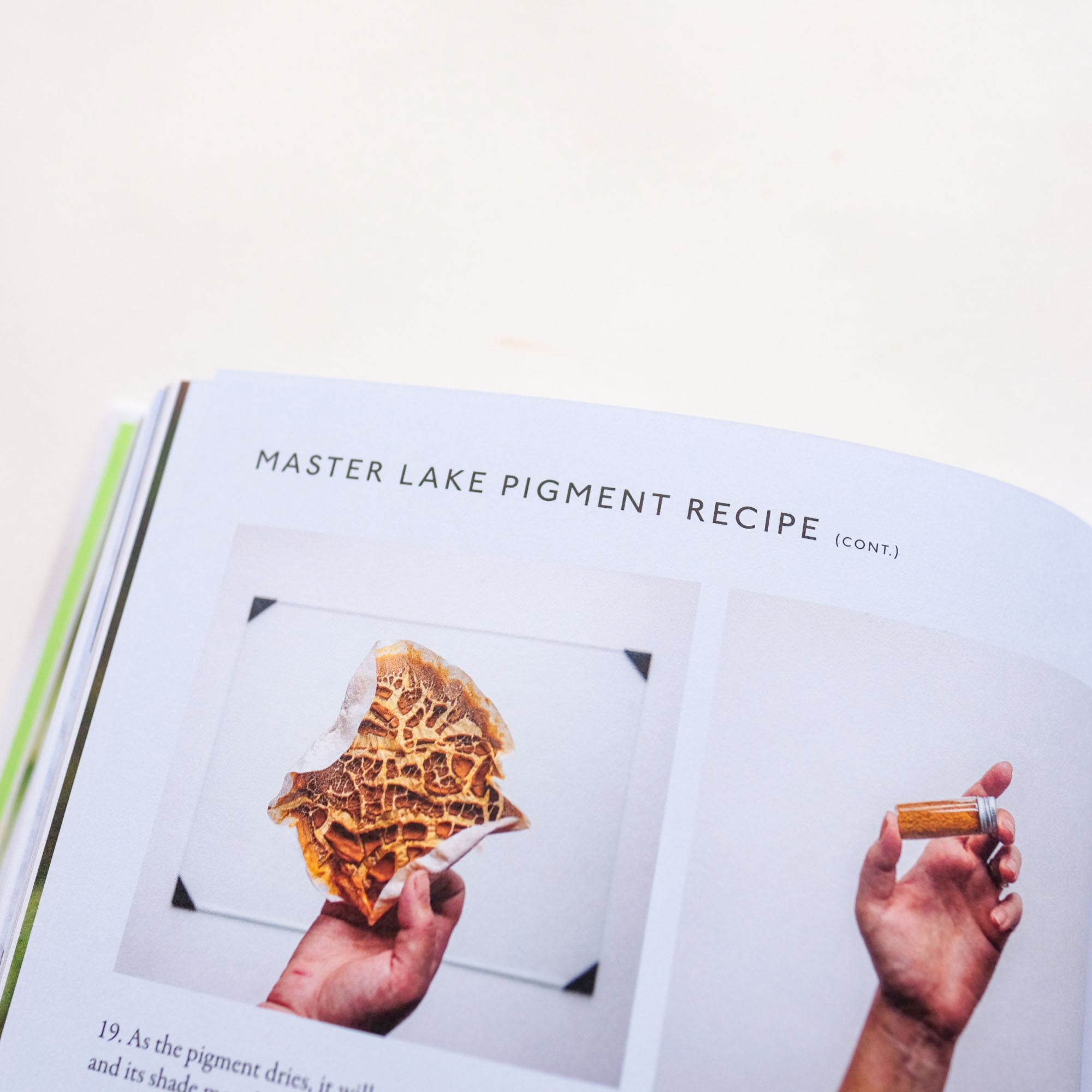 From Plant to Pigment by Natalie Stopka