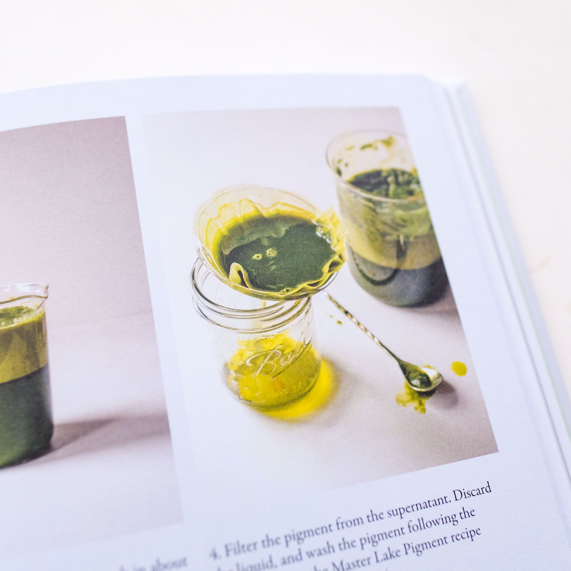 From Plant to Pigment by Natalie Stopka