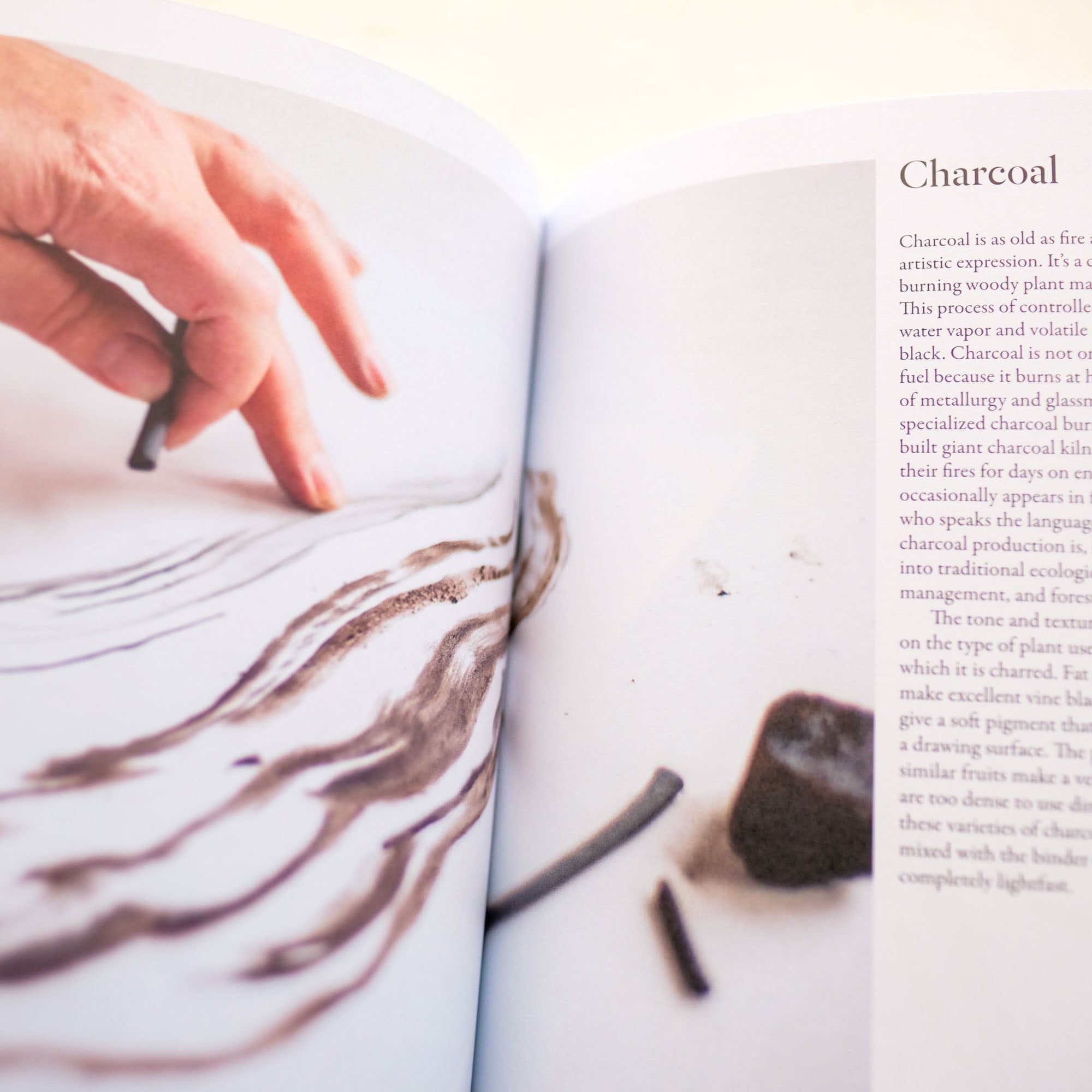 From Plant to Pigment by Natalie Stopka