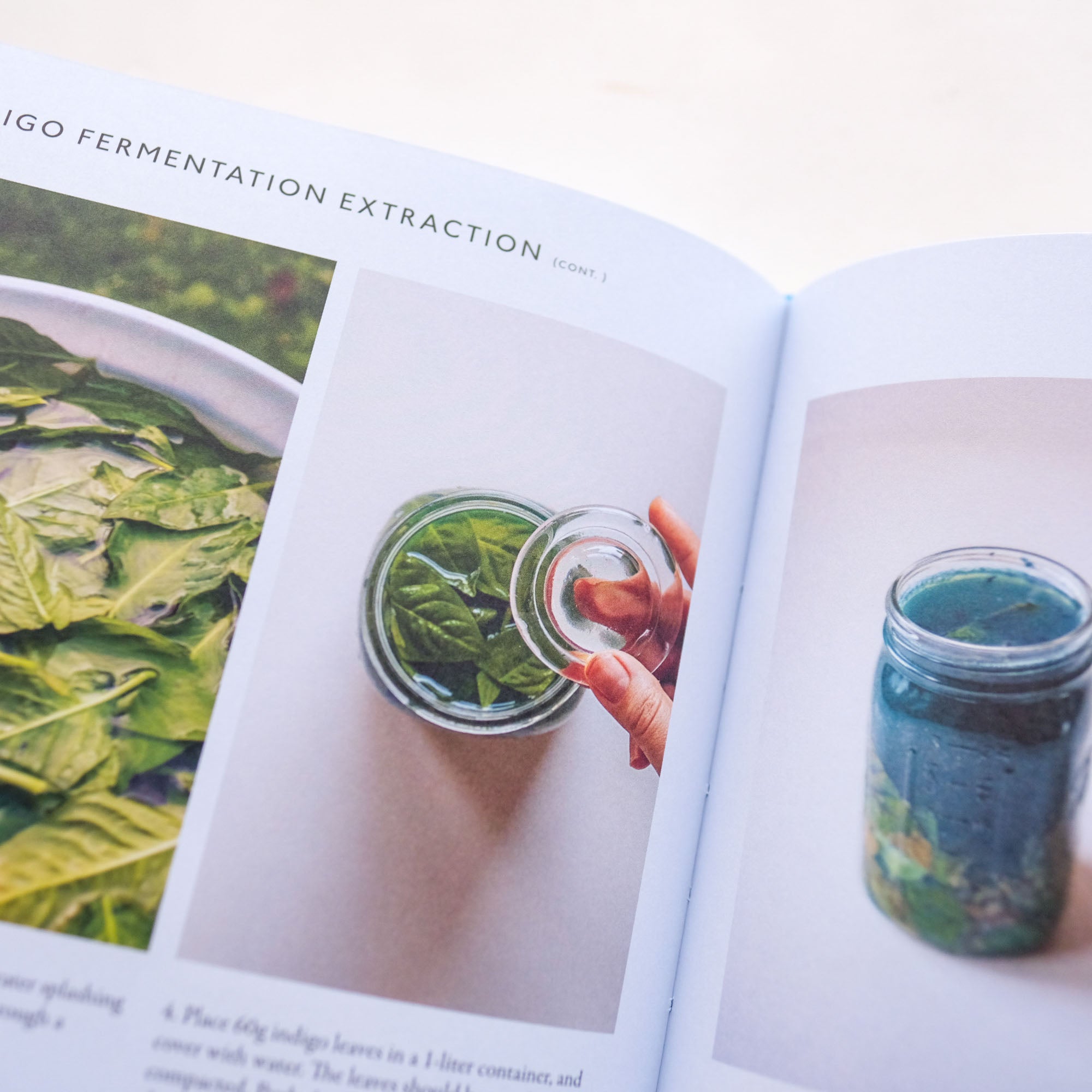 From Plant to Pigment by Natalie Stopka