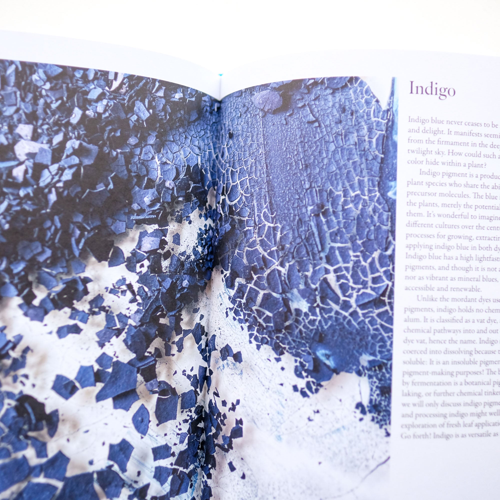 From Plant to Pigment by Natalie Stopka