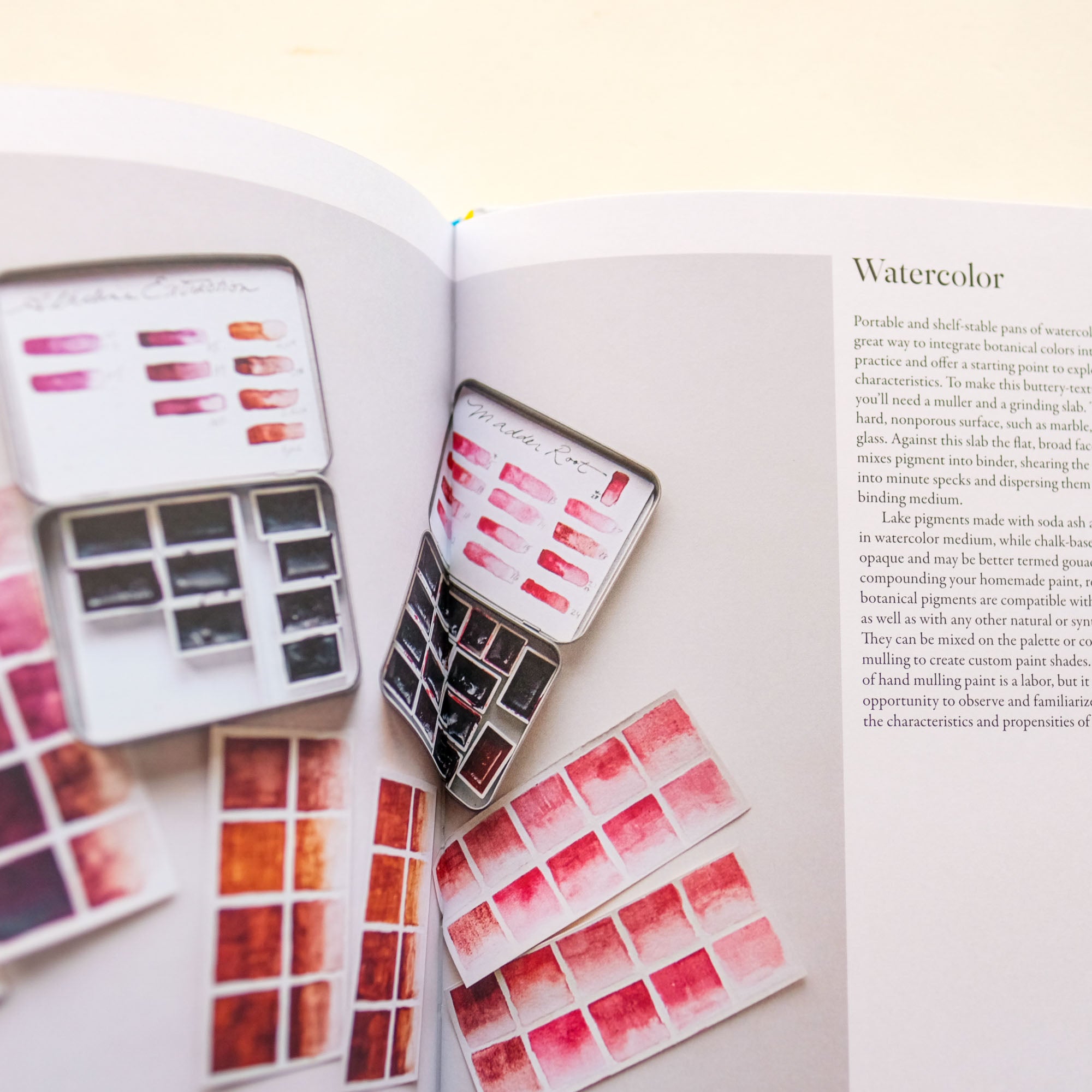 From Plant to Pigment by Natalie Stopka